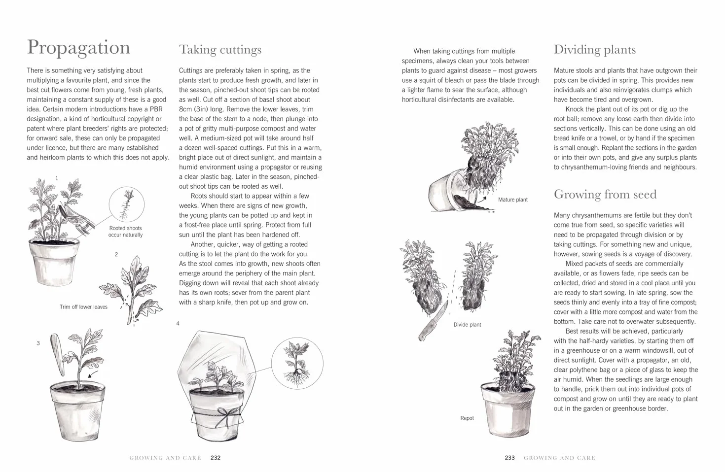 Chrysanthemums: The ultimate guide for growing and cutting flower varieties for the home and garden