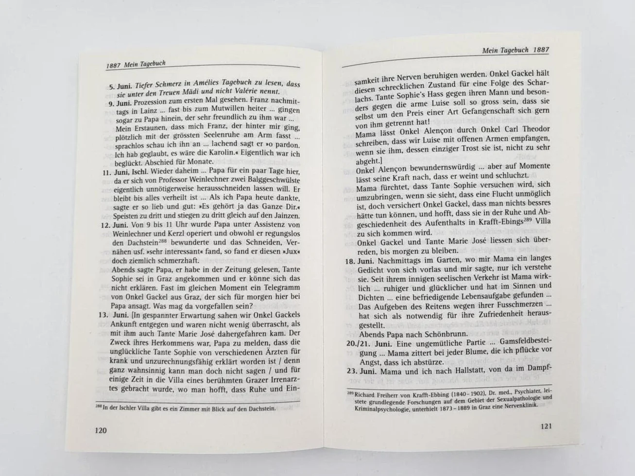 Das Tagebuch der Lieblingstochter von Kaiserin Elisabeth 1878-1899: Herausgegeben von Martha und Horst Schad | Private Einblicke in das Leben von Sisi
