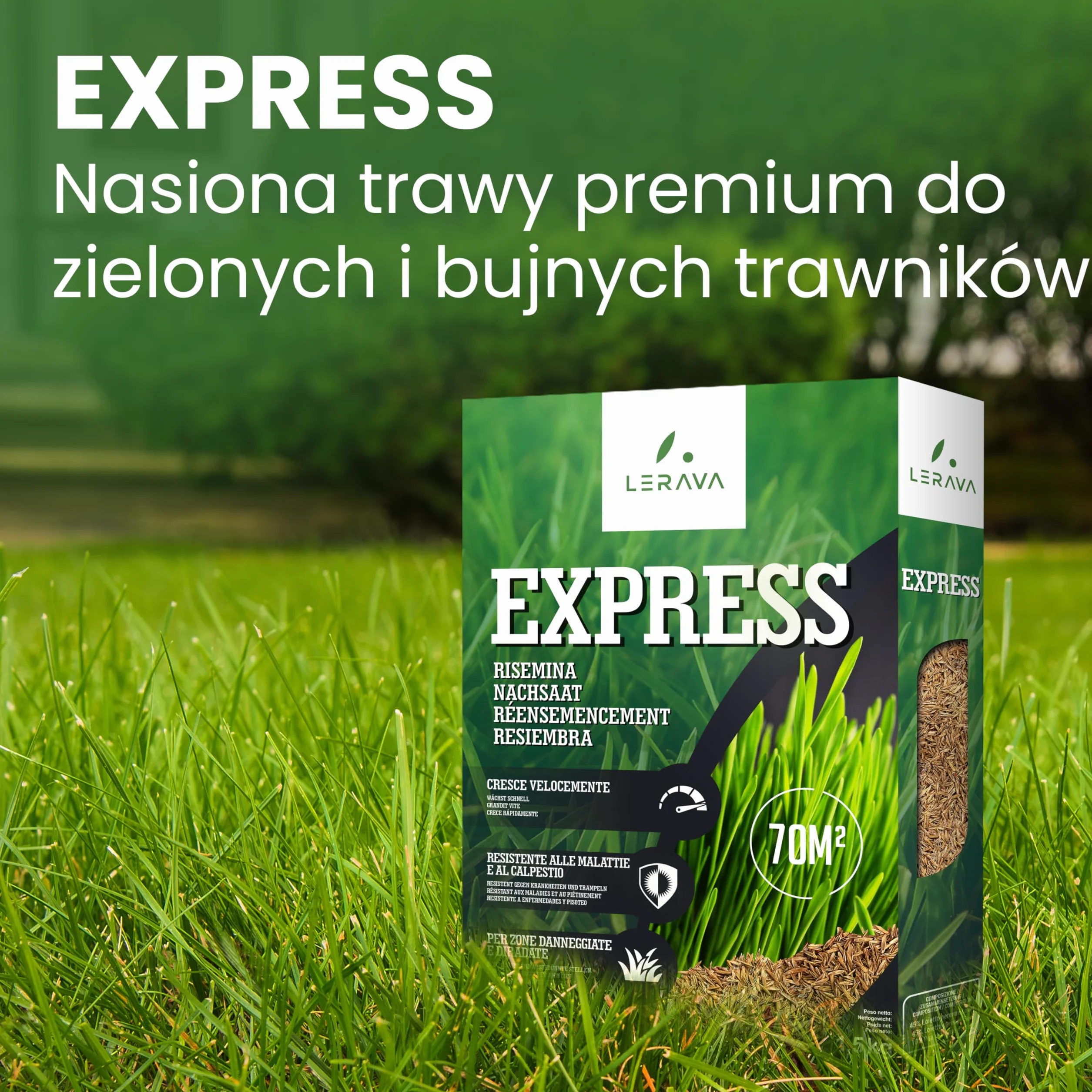 LERAVA® EXPRESS nasiona trawy (70m²) - szybki wzrost i odporność na deptanie - trawa regeneracyjna do ogrodów słonecznych i półcienistych - odporna na suszę - jakość Made in Italy - 1,8 kg