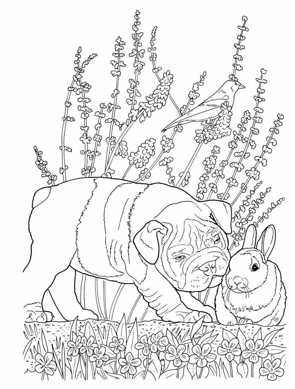 Creative Haven Lovable Cats and Dogs Coloring Book