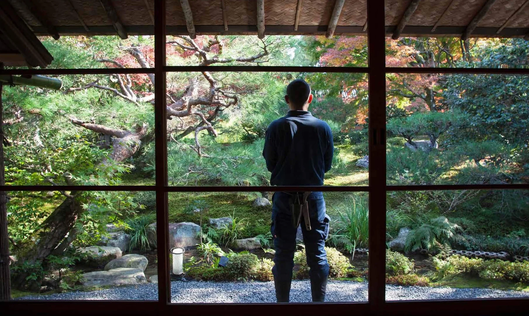 Japanese Gardens: A Journey