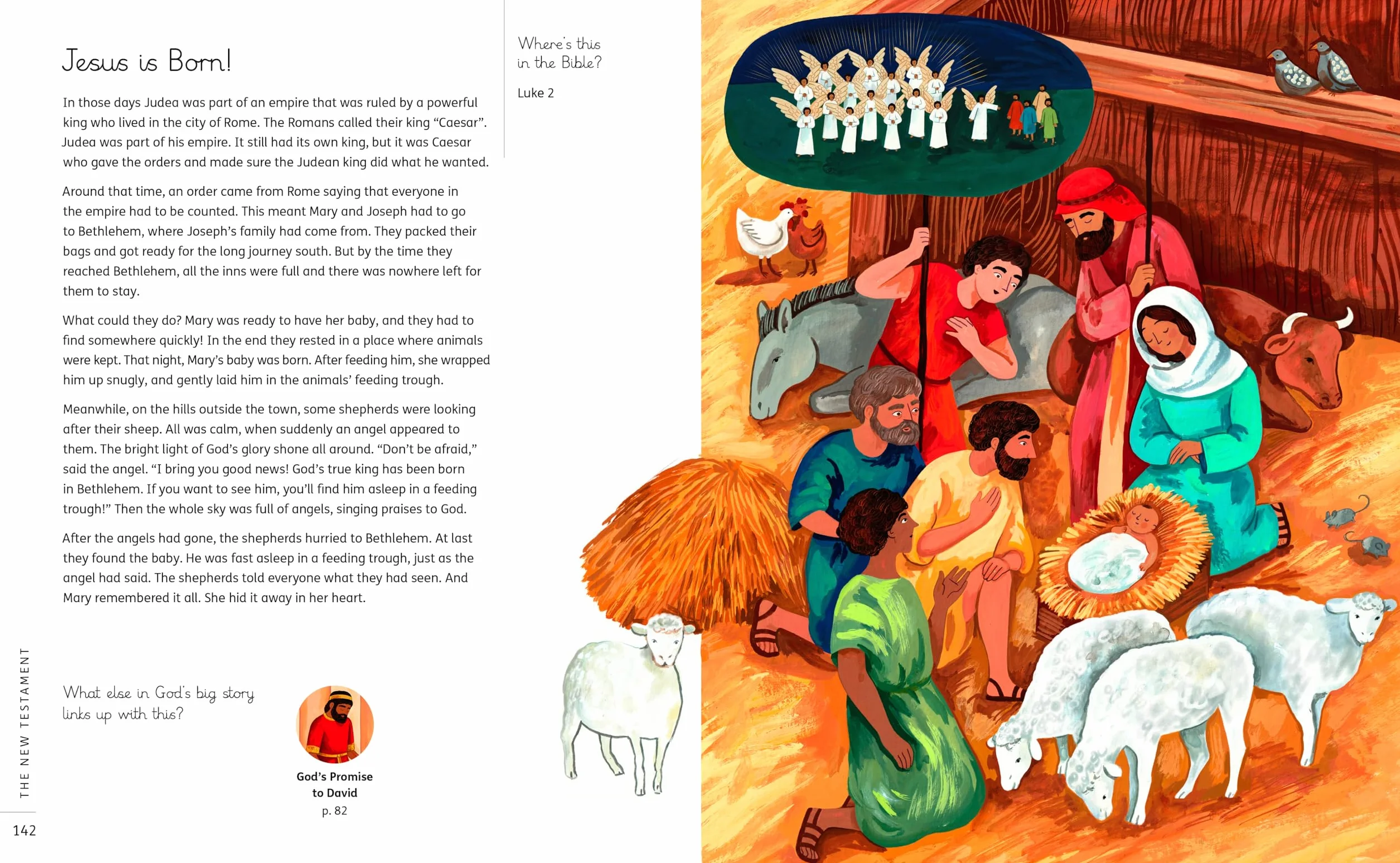 My Big Story Bible: 140 Faithful Stories, from Genesis to Revelation