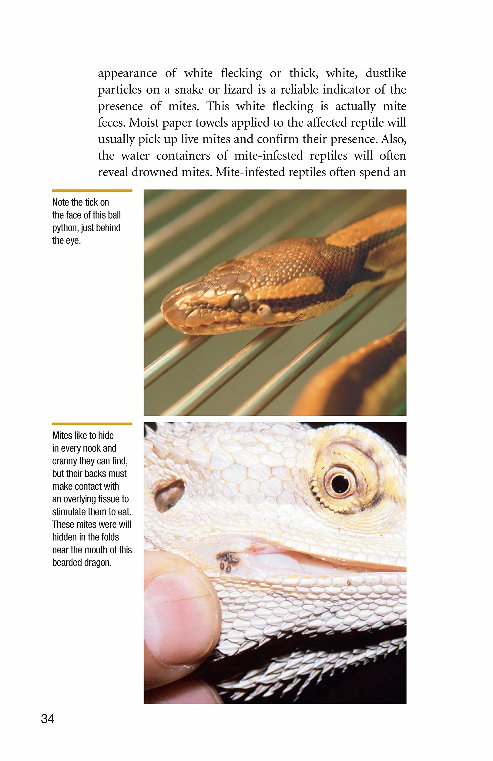 Reptile Parasites