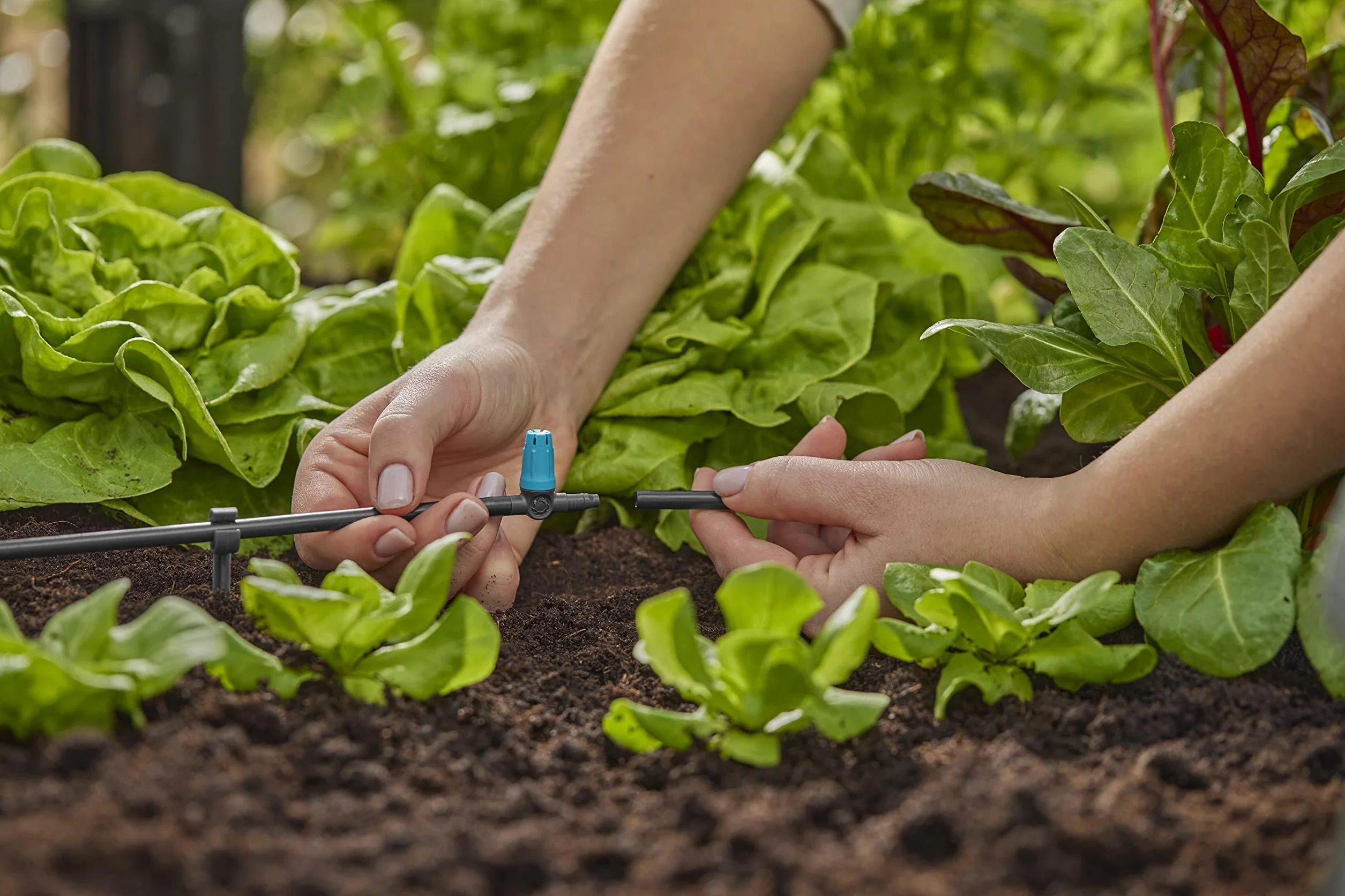 Gardena system Micro-Drip dysza małopowierzchniowa: Dysza rozpylająca do autom. systemu nawadniania do małych powierzchni do średnicy 40 cm, proste połączenie z rurą rozdziel. 4,6 mm (13316-20)
