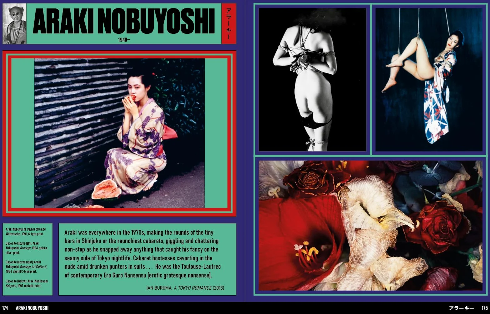 Japan Art Revolution: The Japanese Avant-Garde from Angura to Provoke /anglais
