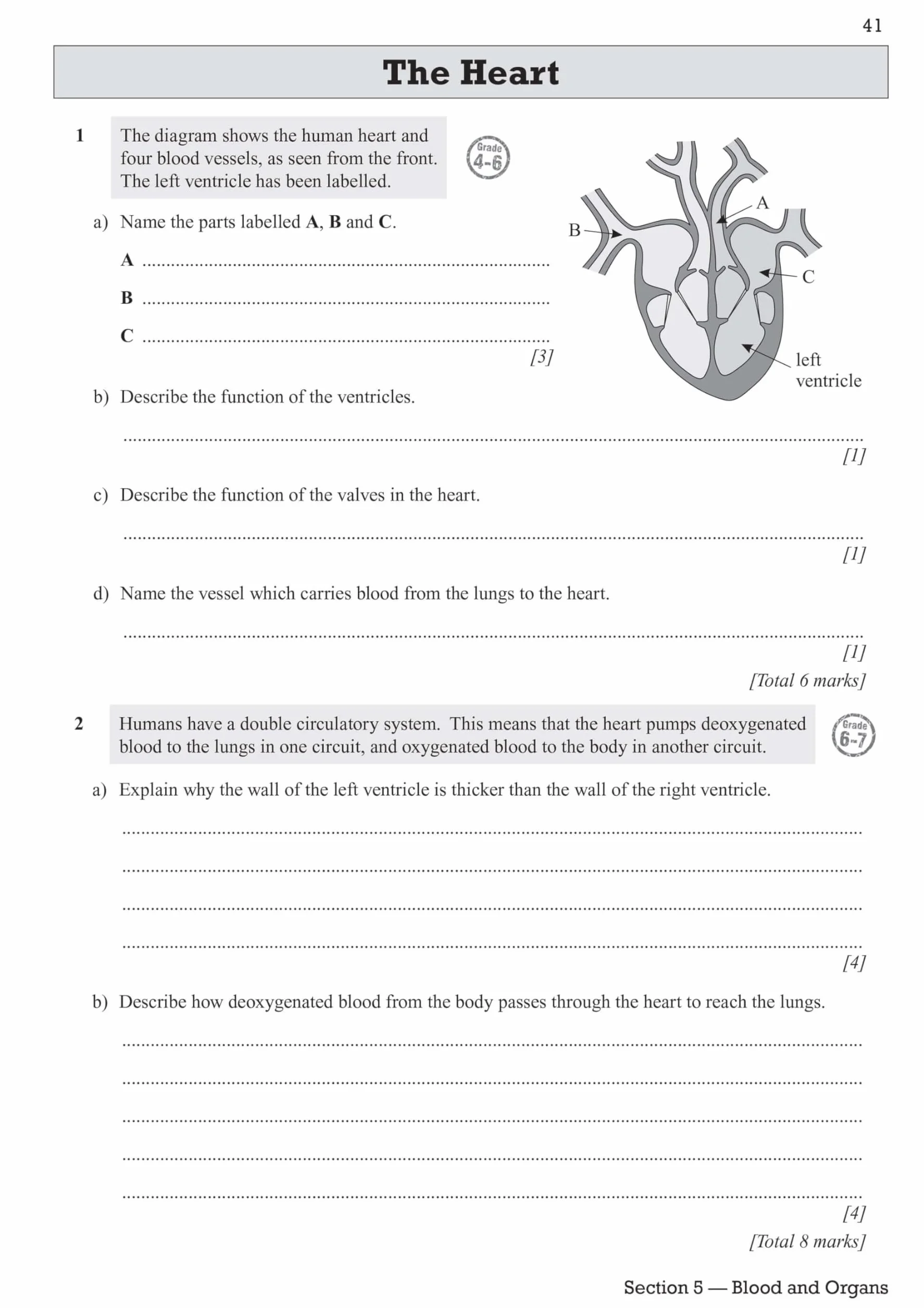 Edexcel International GCSE Biology Exam Practice Workbook (with Answers)