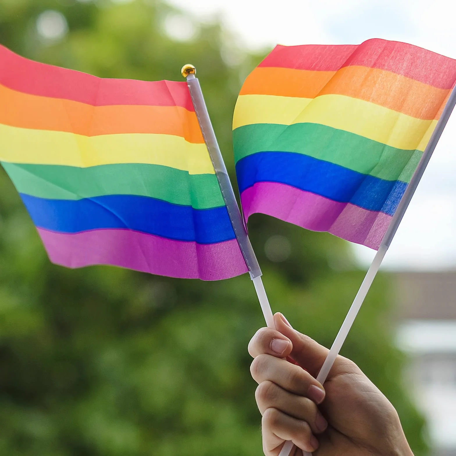 TRIXES 15 sztuk tęczowych flag machających – LGBTQ+ Pride / NHS banery z patyczkami na dłonie, akcesoria na imprezę paradę, festiwal, dekoracje ścienne do domu, samochodu i ogrodu, słupy 20 x 28 cm /