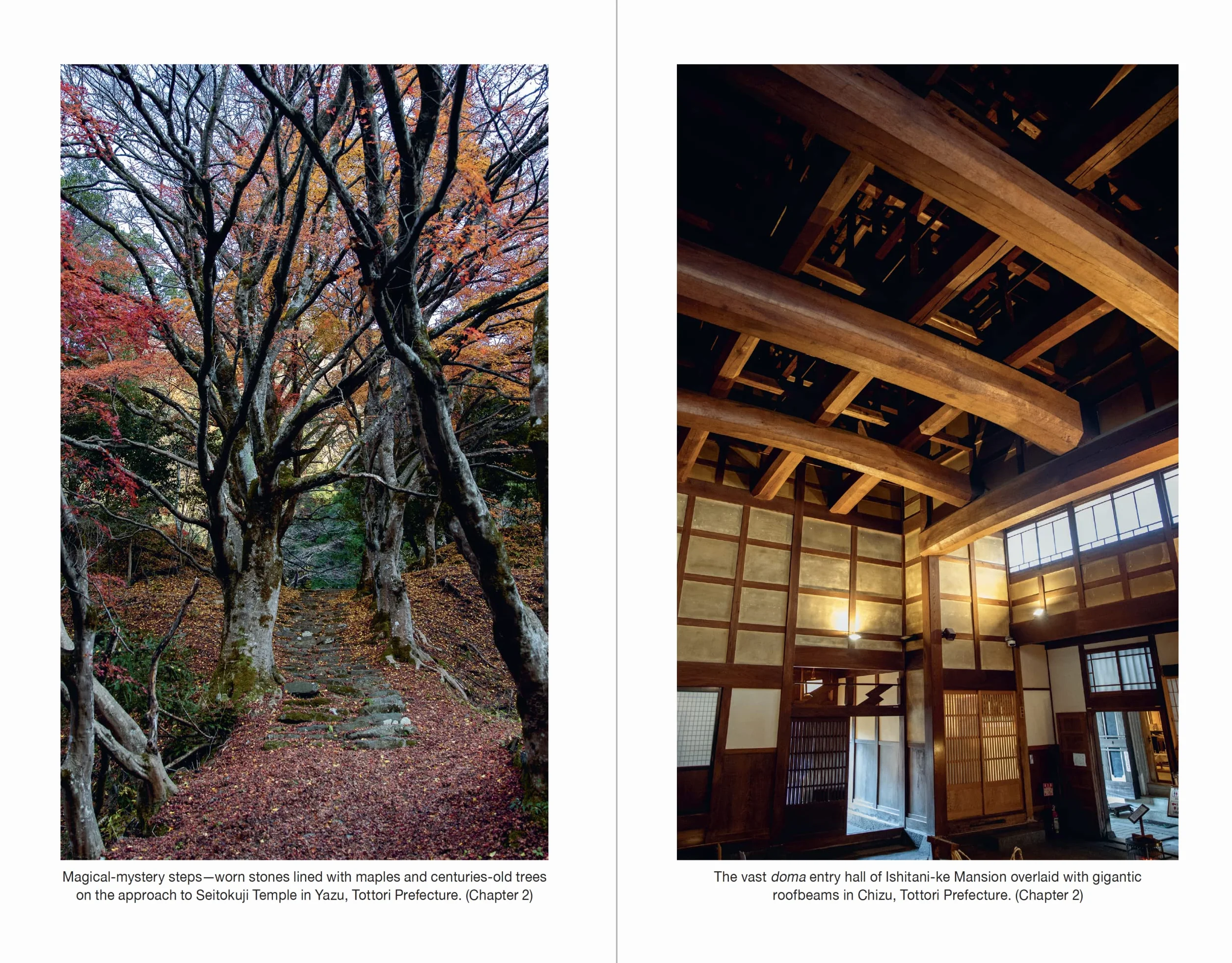 Hidden Japan: An Astonishing World of Thatched Villages, Ancient Shrines and Primeval Forests