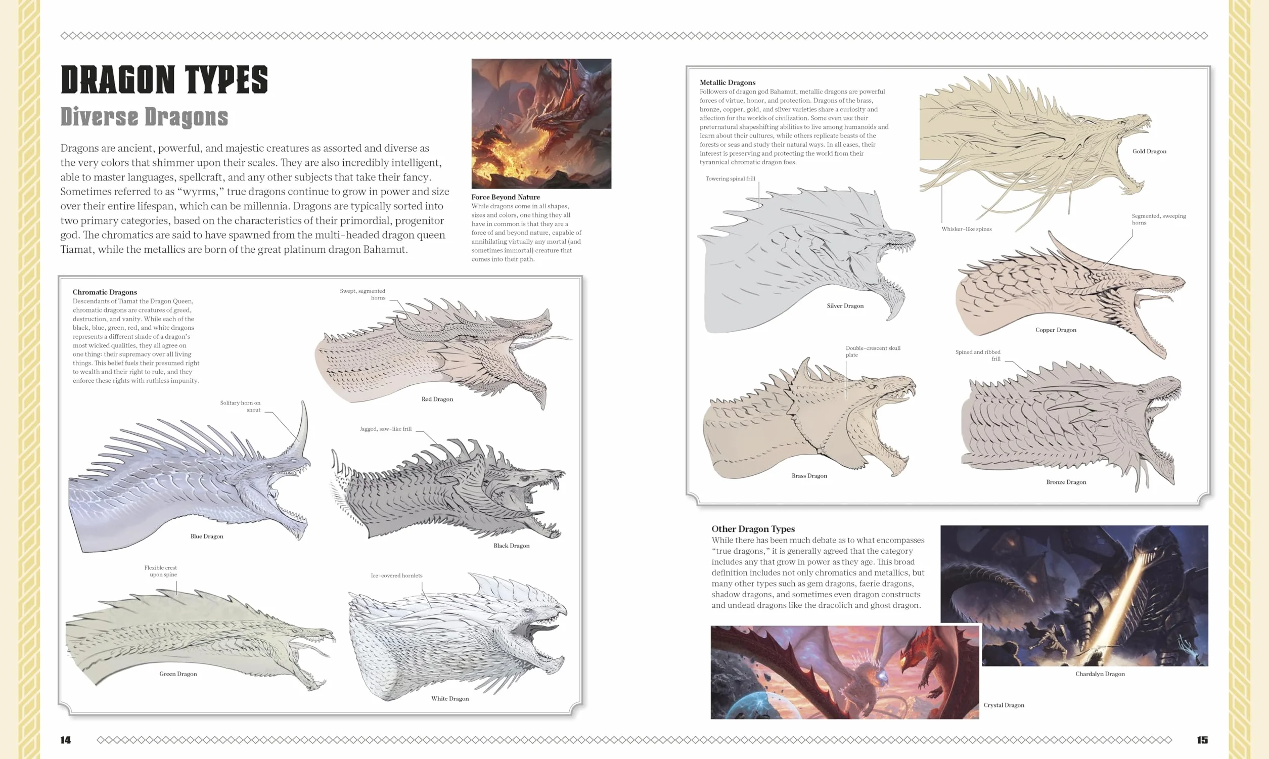 Dungeons & Dragons The Book of Dragons