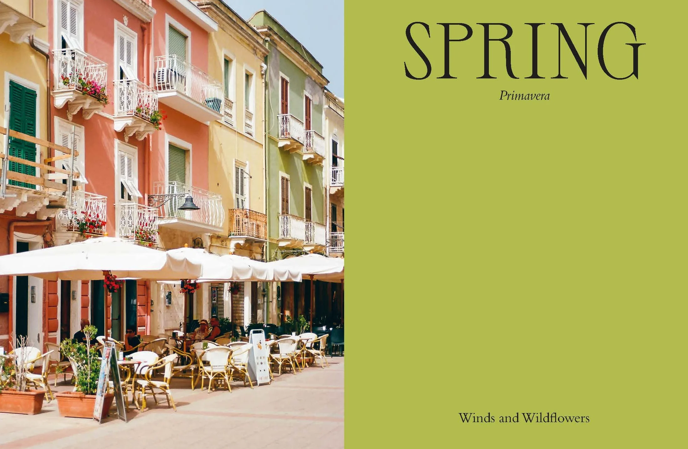 Wild Figs and Fennel: A Year in an Italian Kitchen