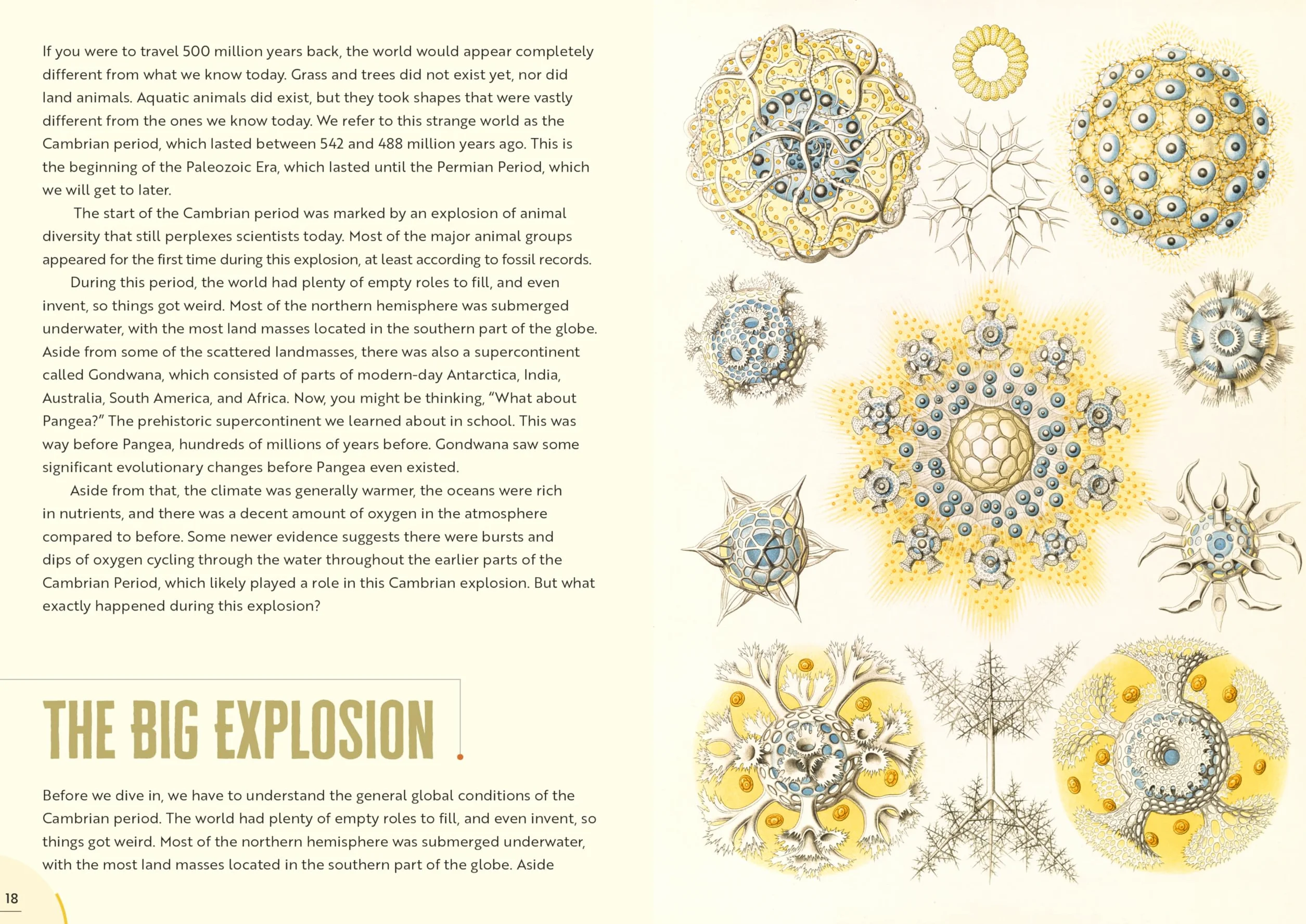 Epic Earth: A Wild Ride Through the History of Life on Our Planet
