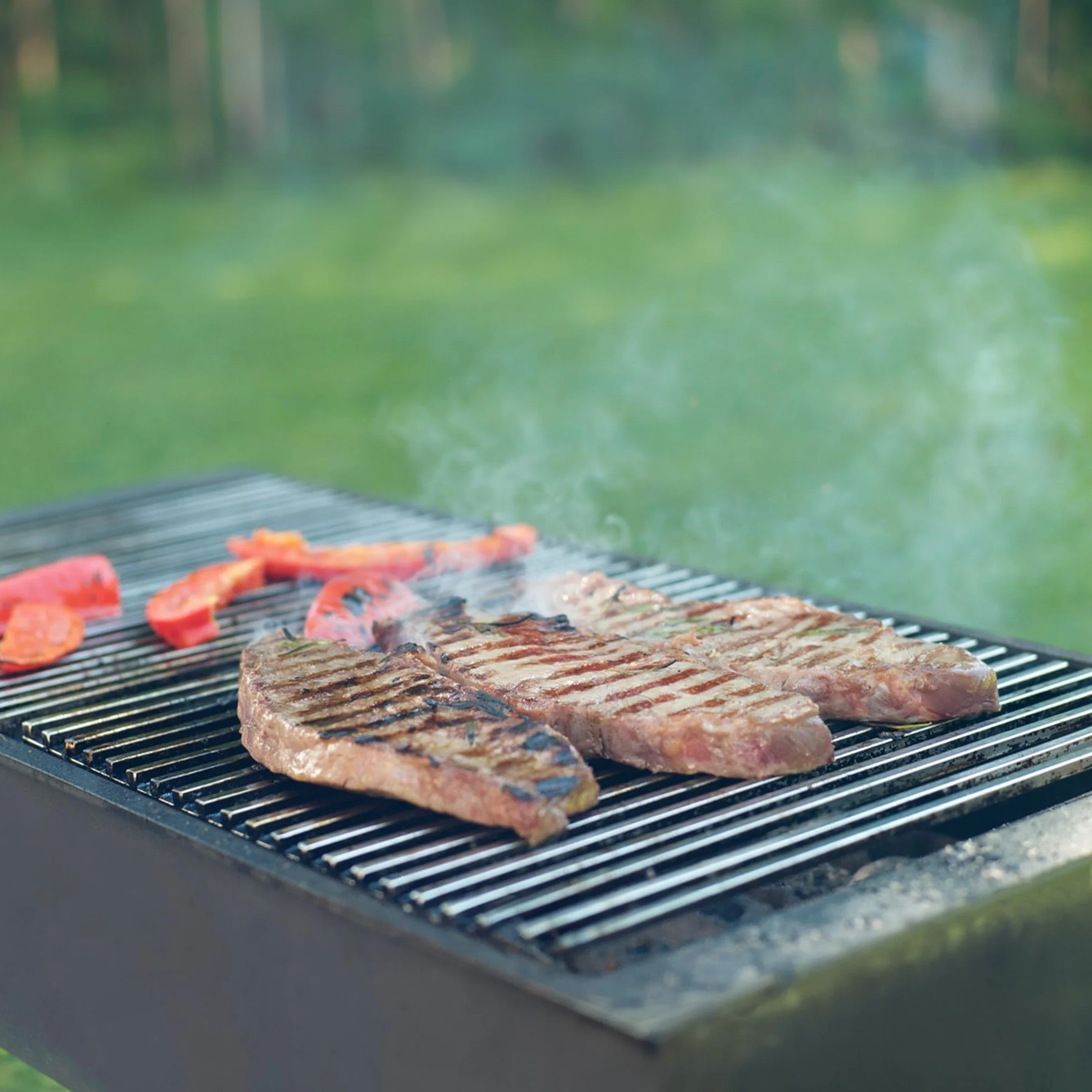 ECD Germany Prostokatny grill ze stali nierdzewnej z wyjmowanymi uchwytami 67 x 40 cm - solidny i odporny na rdze - do kominka grillowego Buschbeck - grill gazowy - kosze na ognisko - akcesoria do