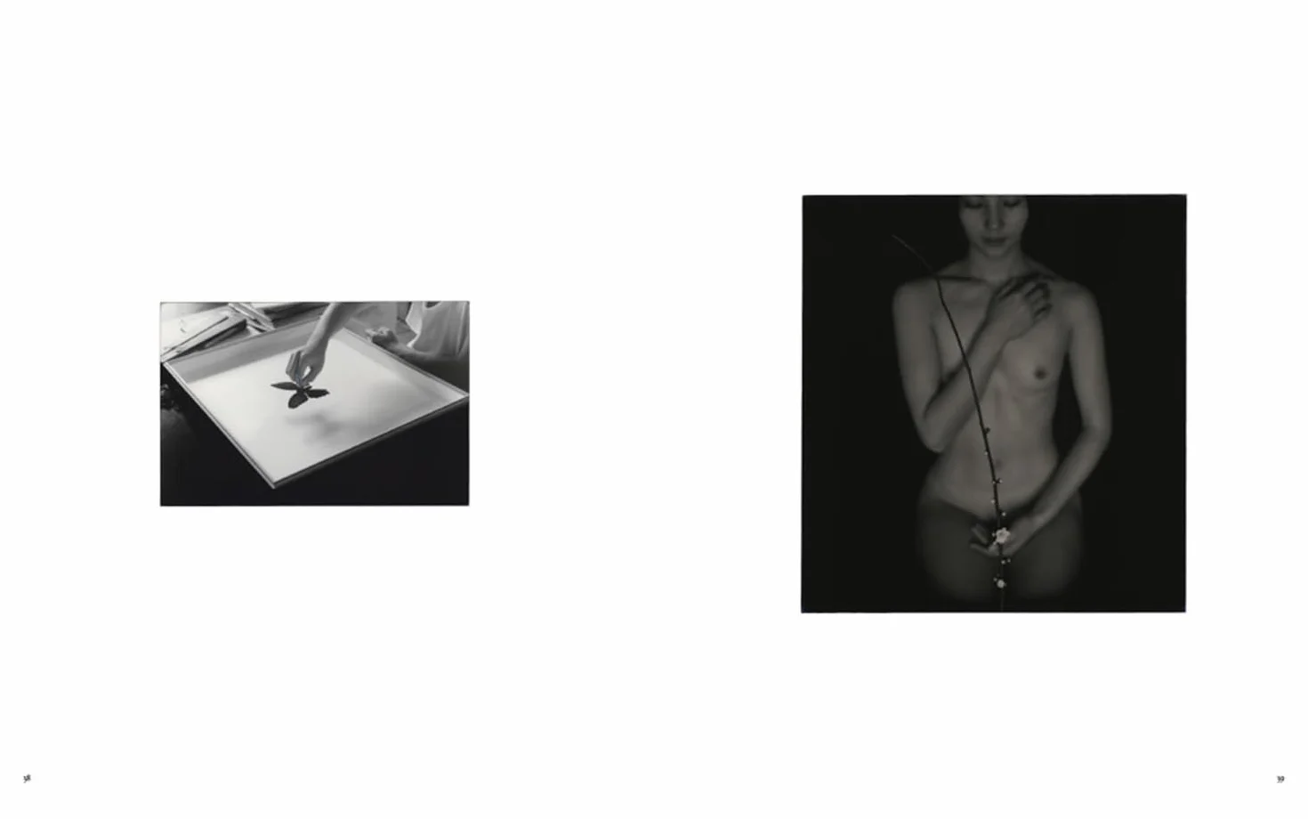 Masao Yamamoto Small Things in Silence (New Edition) /anglais/japonais: Third Edition
