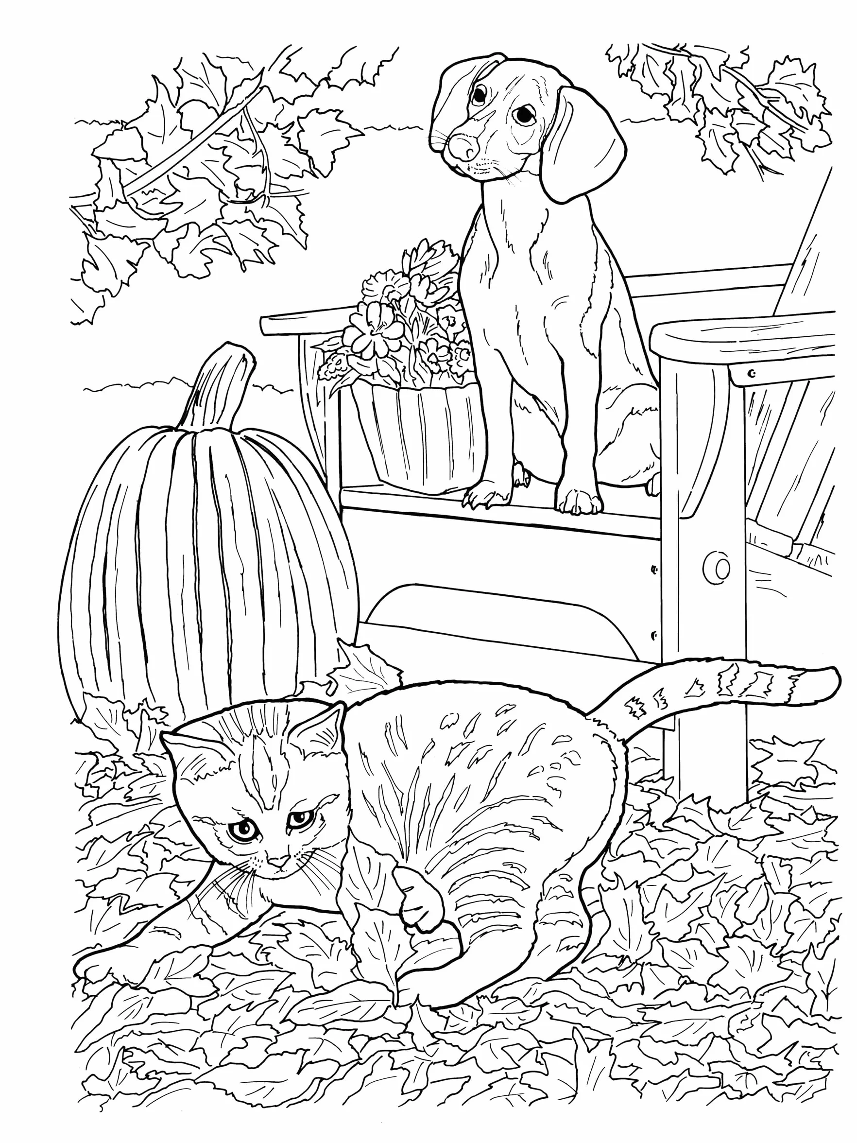 Creative Haven Lovable Cats and Dogs Coloring Book