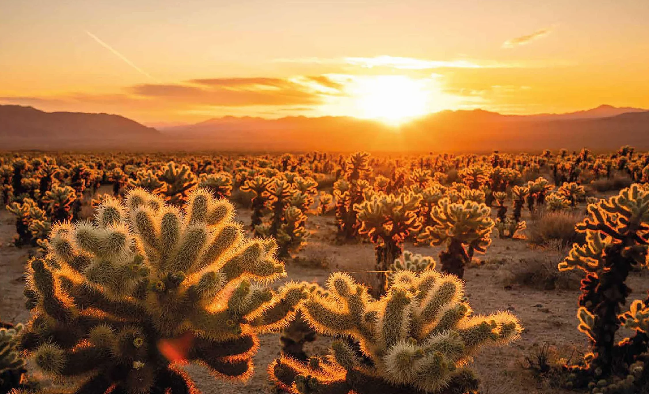 Sunrise Destinations /anglais: the world's most beautiful places to watch the sun come up