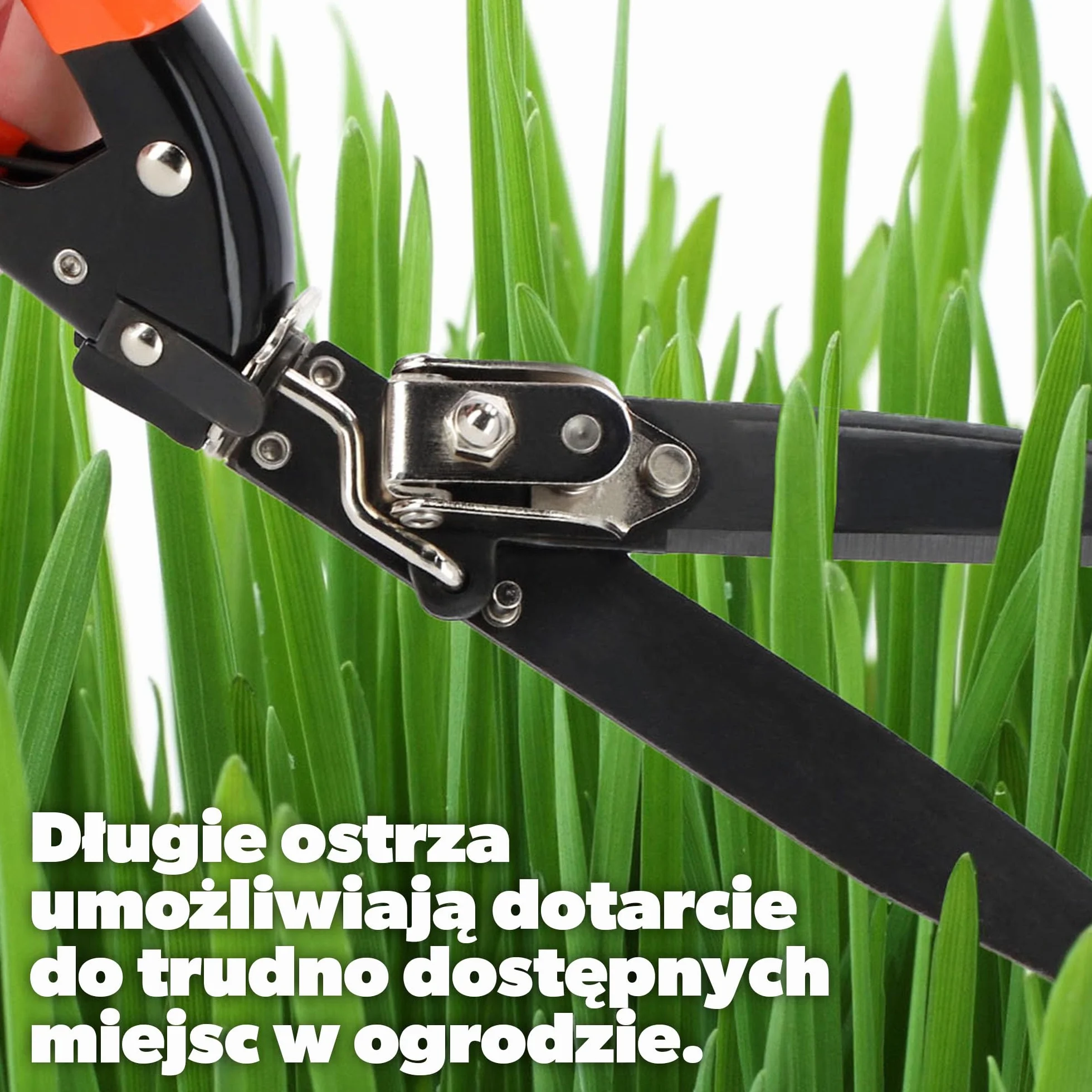 KADAX Nożyce do trawy i obrzeży, stalowe ostrza z powłoką nieprzywierającą, obrotowa głowica, długość 33 cm, do precyzyjnego przycinania krawędzi i trudno dostępnych miejsc