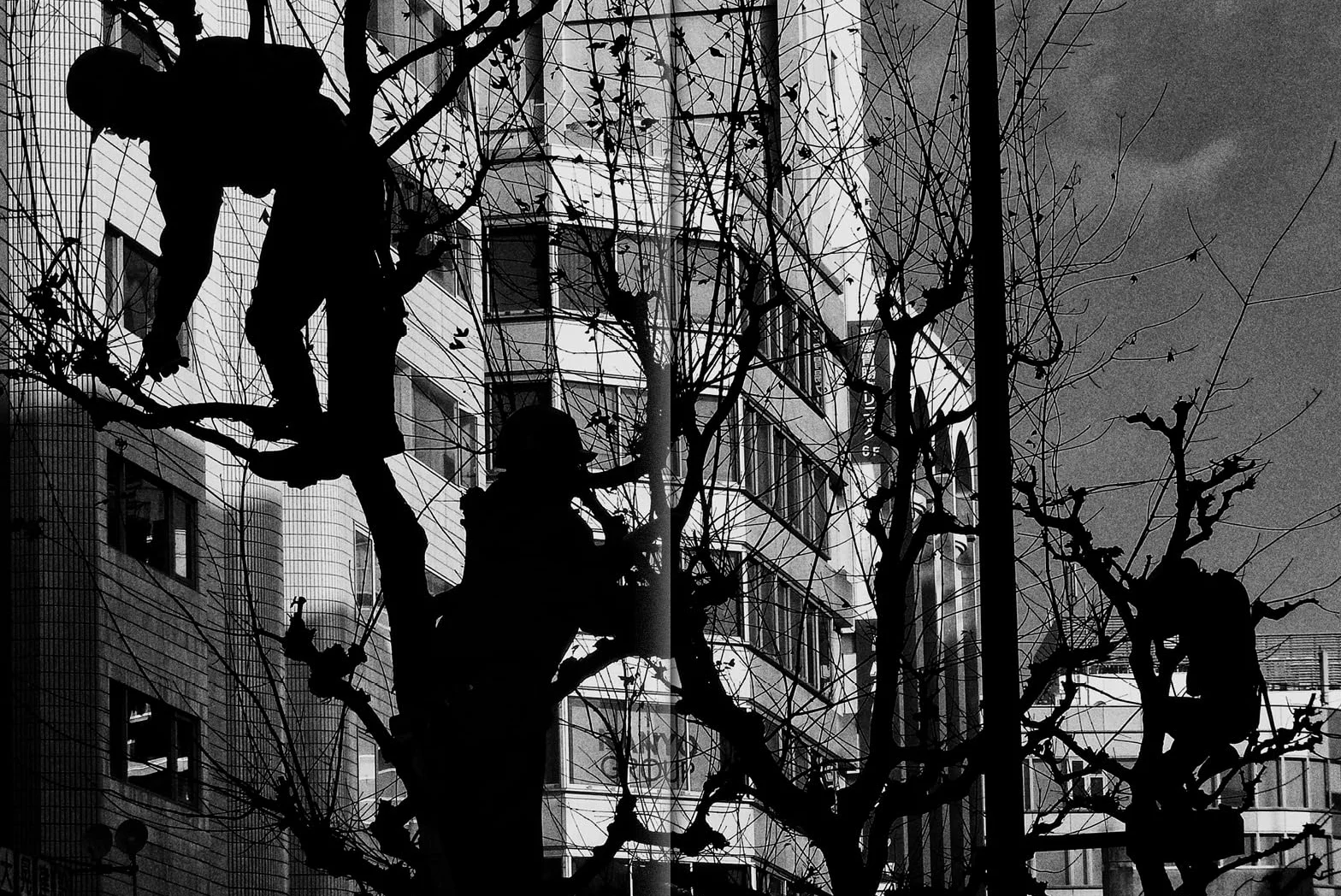 Daido Moriyama: Record 2