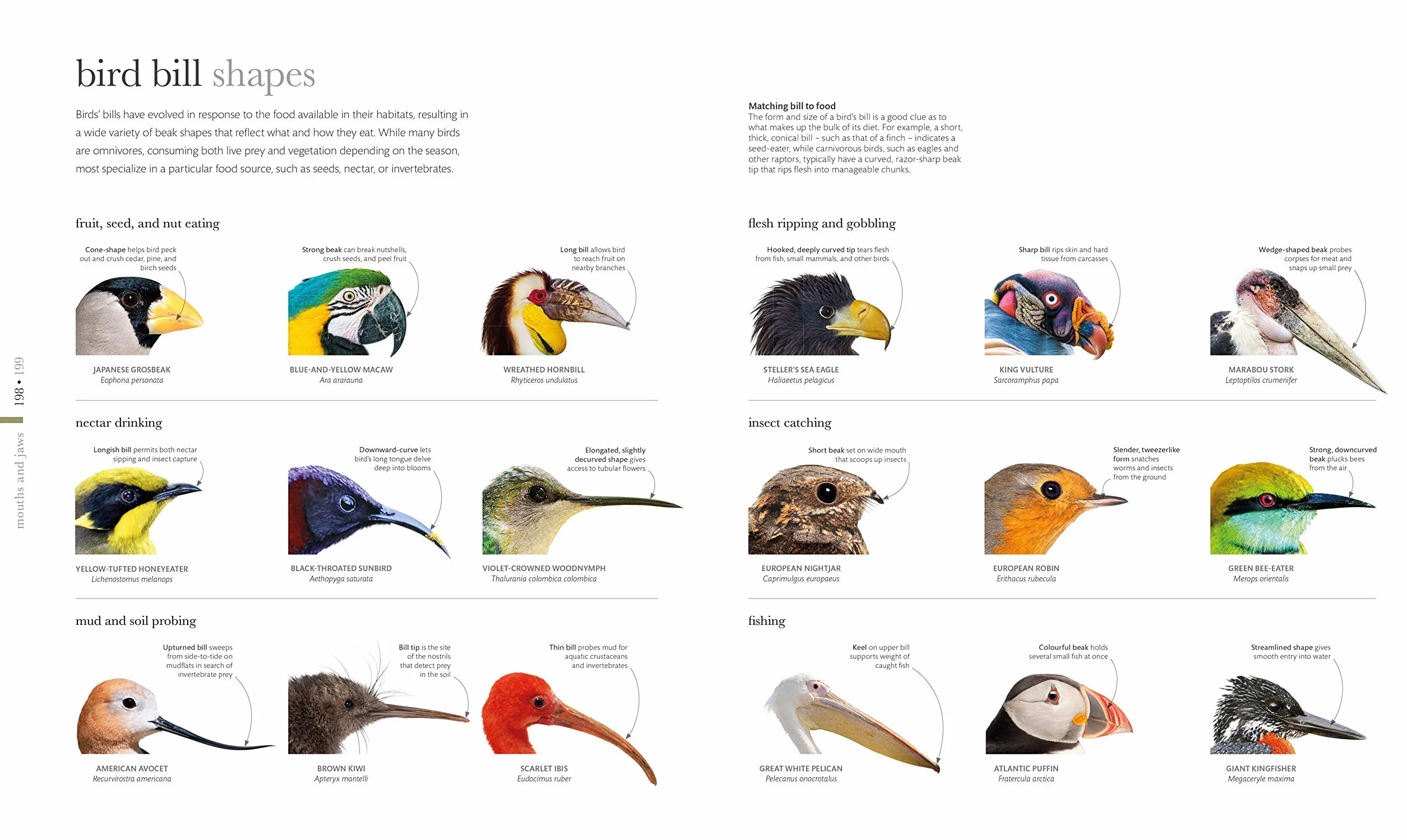 The Science of Animals: Inside their Secret World