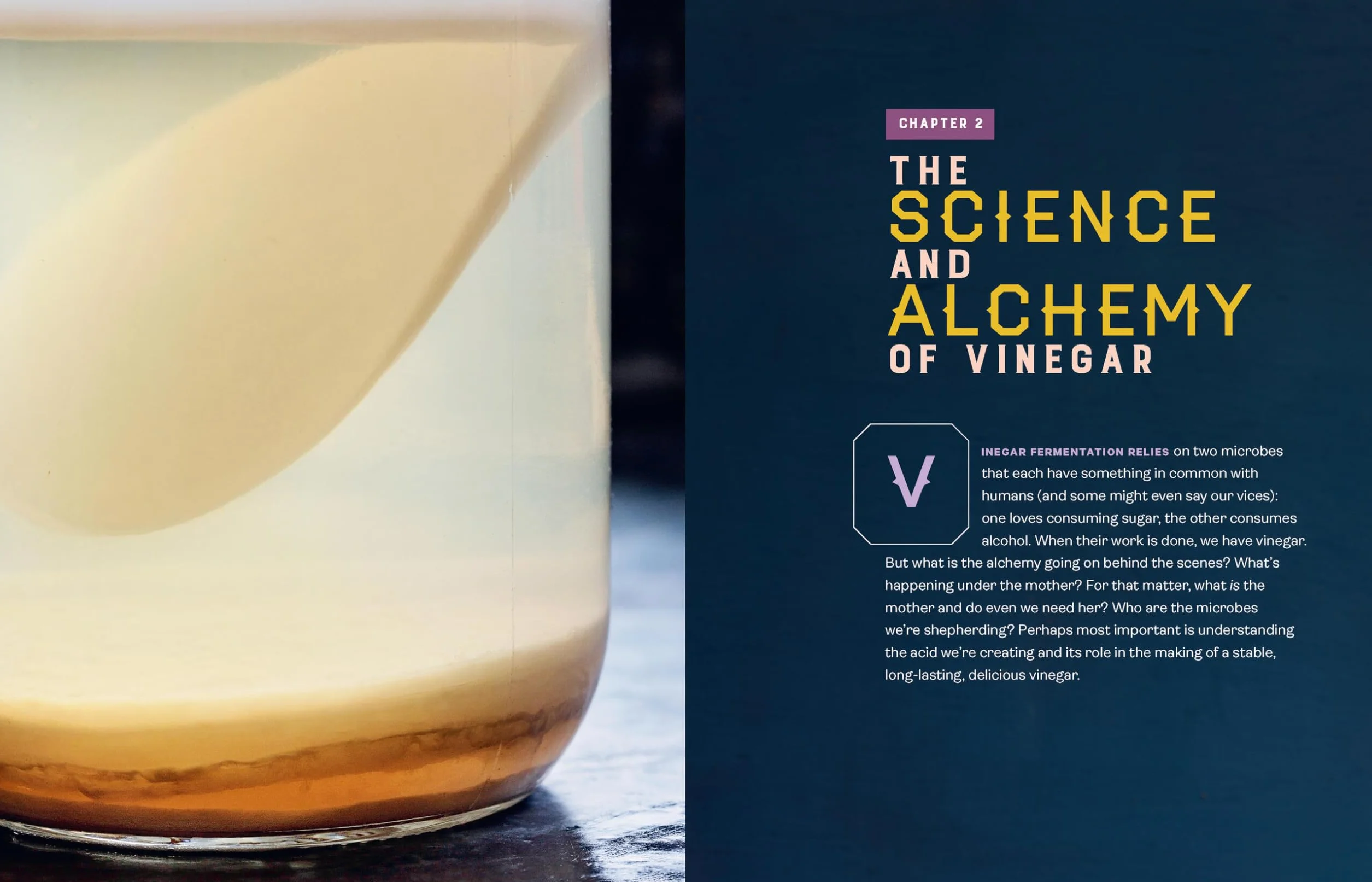 Homebrewed Vinegar: How to Ferment 60 Delicious Varieties, Including Carrot-Ginger, Beet, Brown Banana, Pineapple, Corncob, Honey, and Apple Cider Vinegar