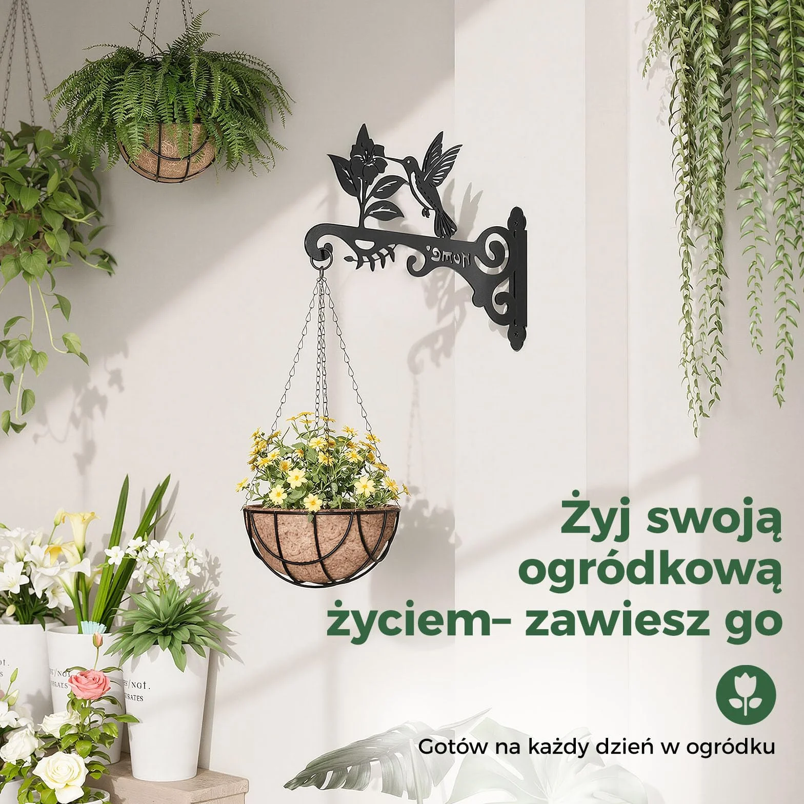 Bamworld Wieszak na Kwiaty 2 Szt. Dekoracyjny Wiszący Kwietnik ze Złotym Kolibrem, Mocny Hak Ścienny i Sufitowy do Zawieszania Roślin, Lampionów, Dzwonków Wietrznych