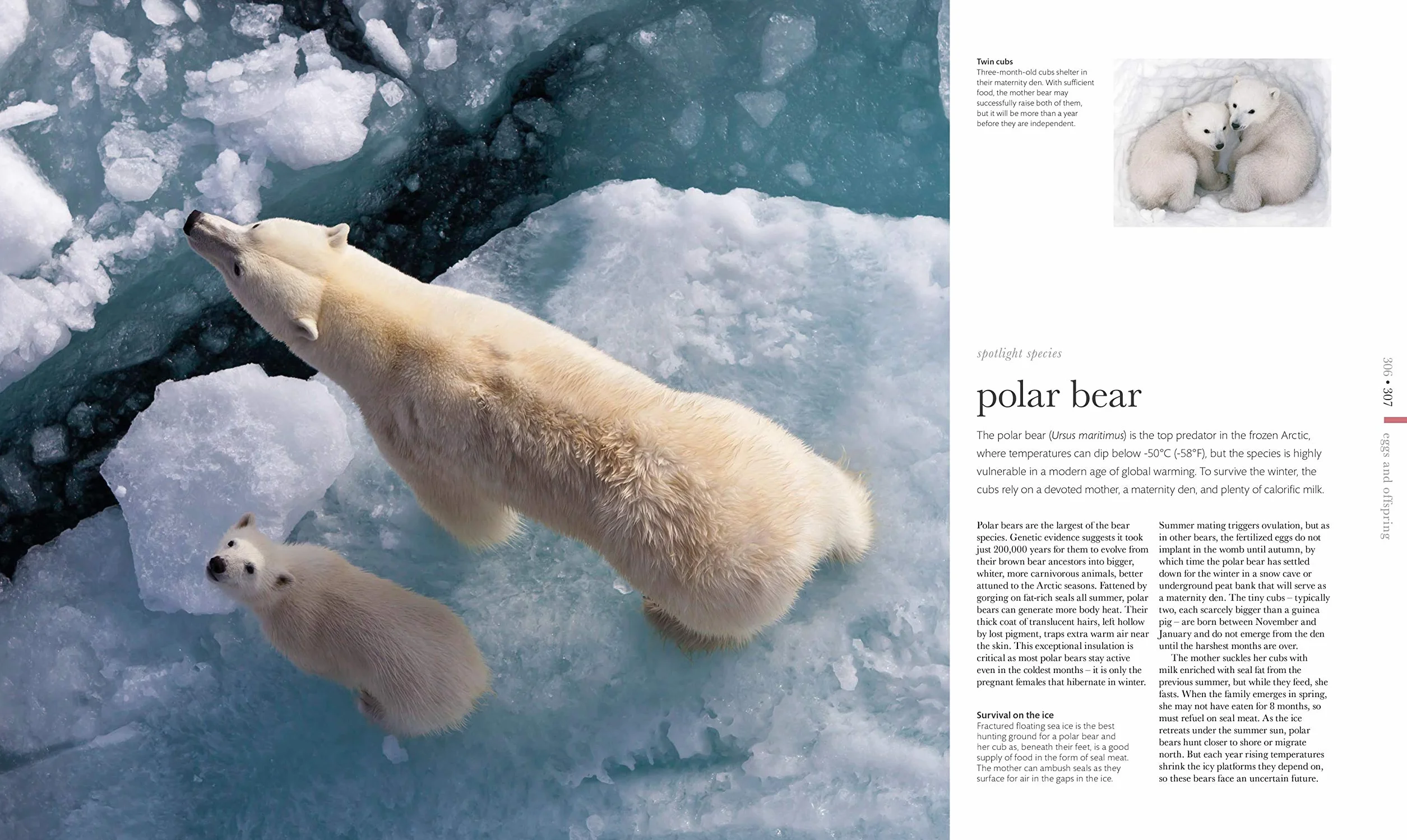 The Science of Animals: Inside their Secret World
