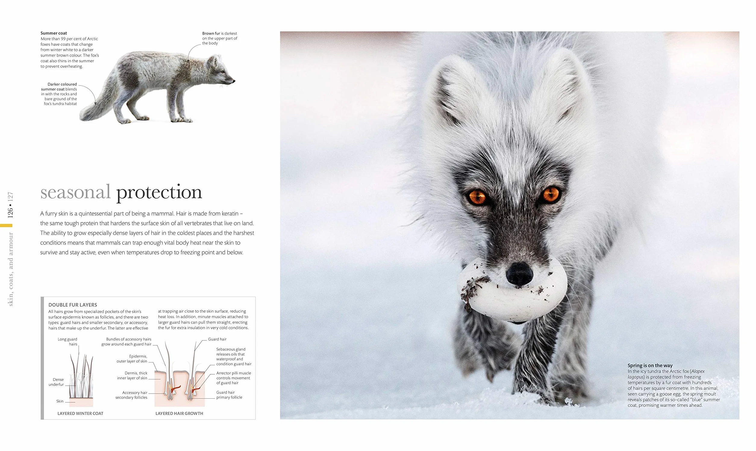 The Science of Animals: Inside their Secret World