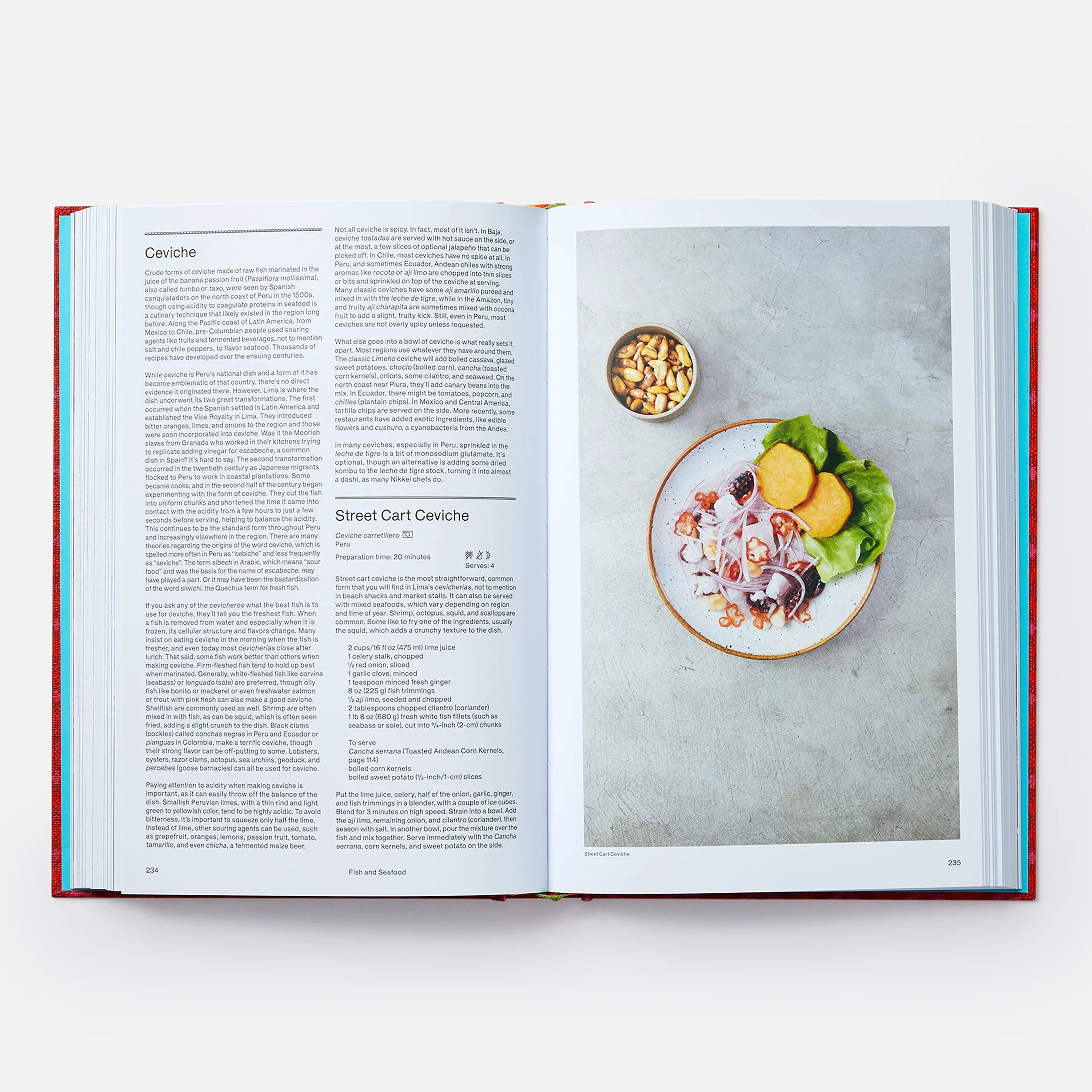 The latin american cookbook