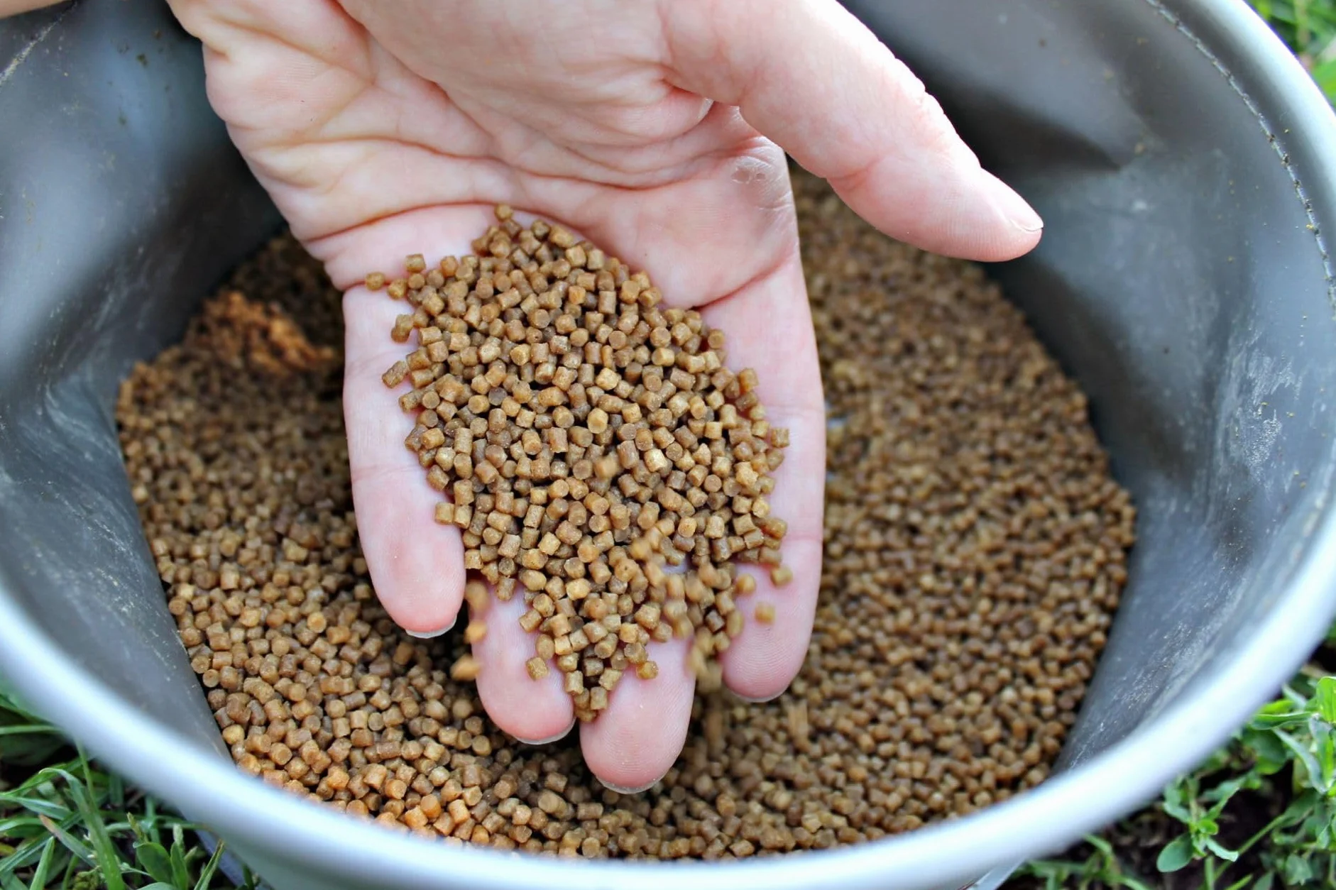 Winner Method Feeder Pellet 2mm 1kg Waniliowy Krem