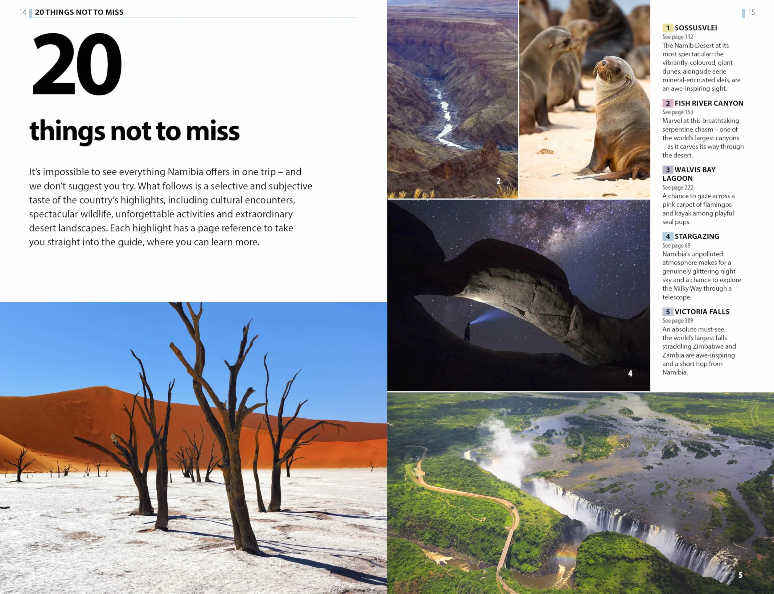 The Rough Guide to Namibia with Victoria Falls: Travel Guide with eBook