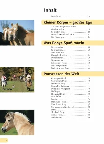 Alles über Ponys: Rassen, Haltung und Pflege, Reiten und Fahren