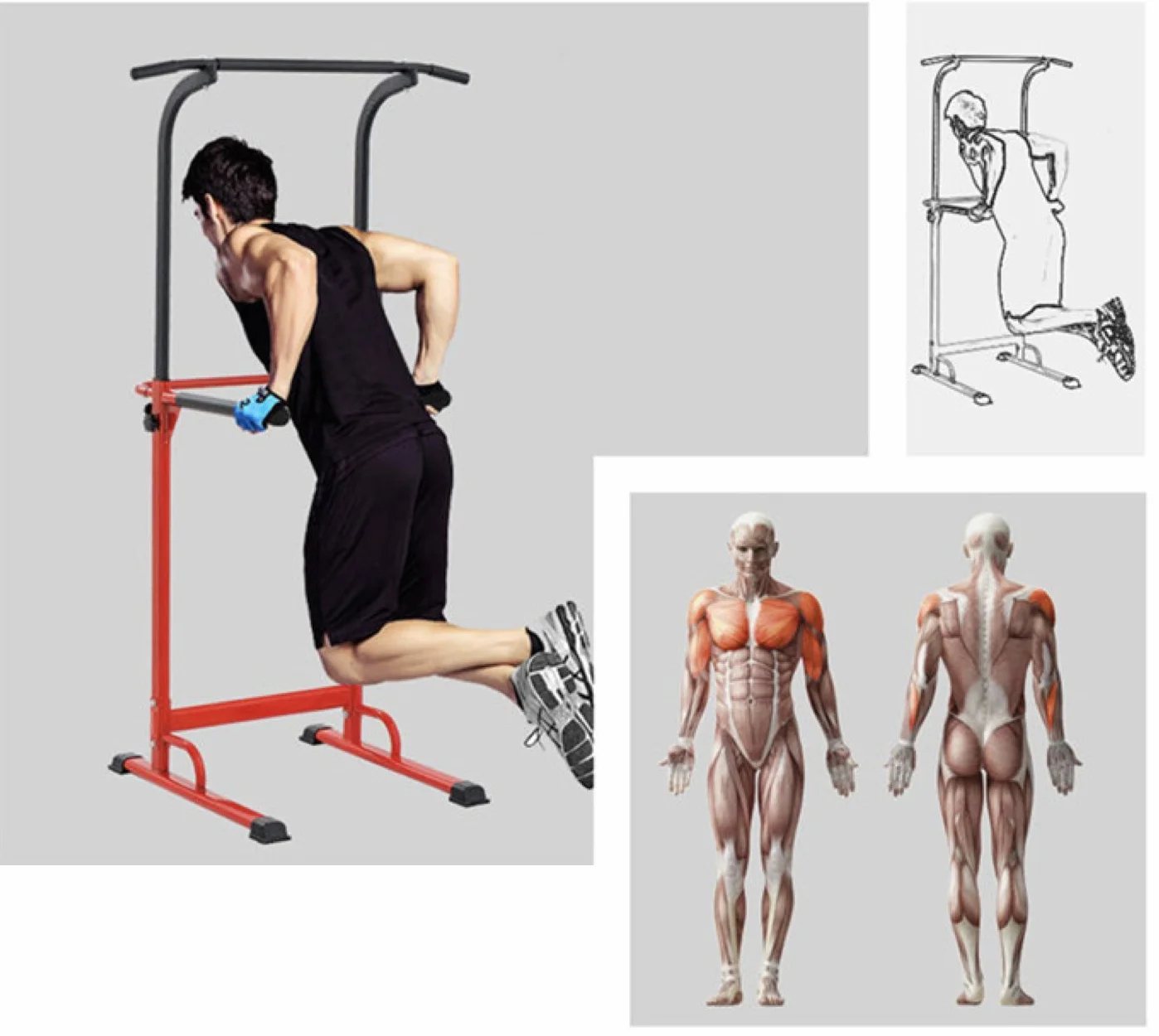 Pull up Fitness Regulowany drążek do podciągania, stacja kulturystyczna Dips, rzymskie krzesło (czerwony)