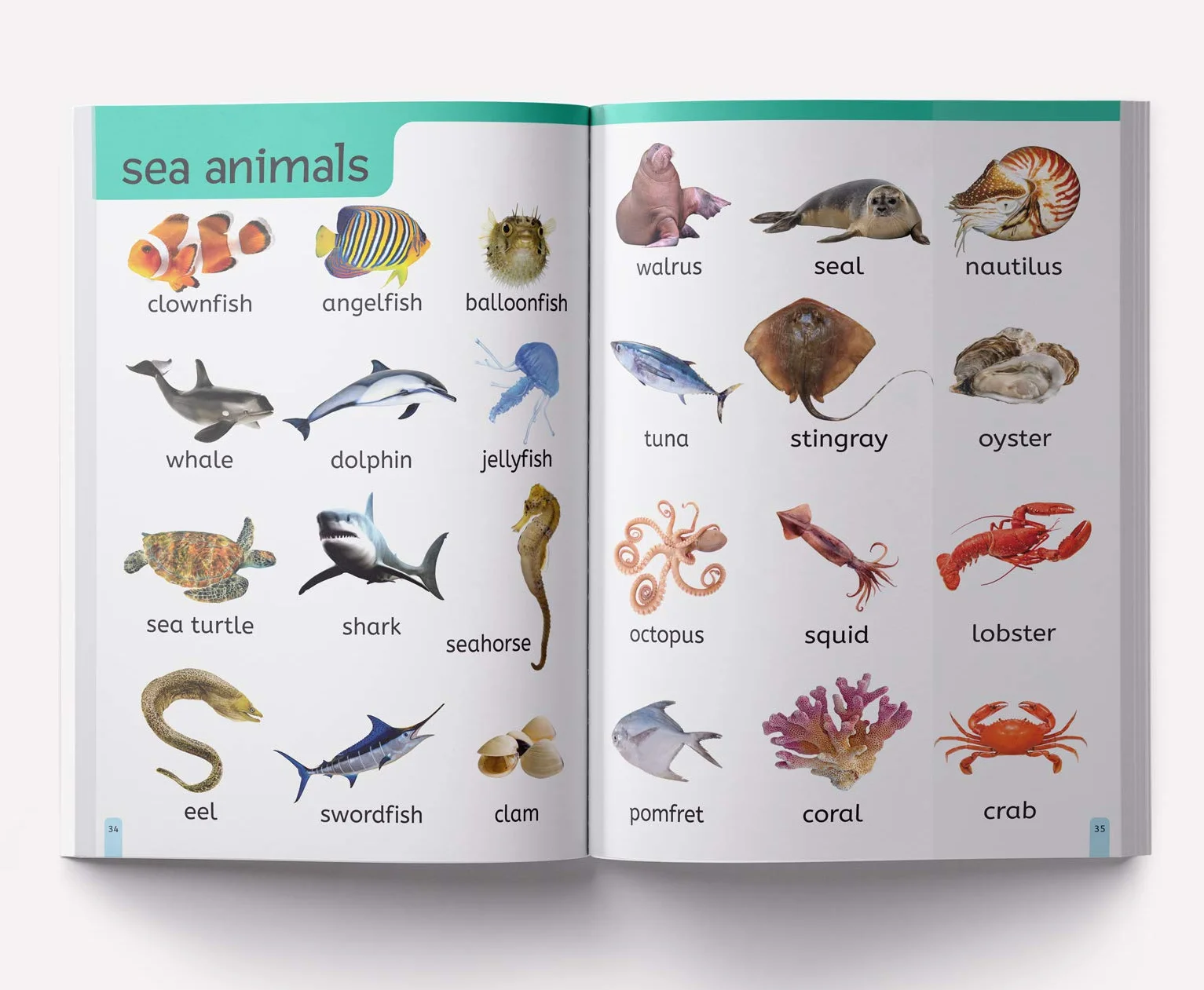 My First 1000 Words: Early Learning Picture Book