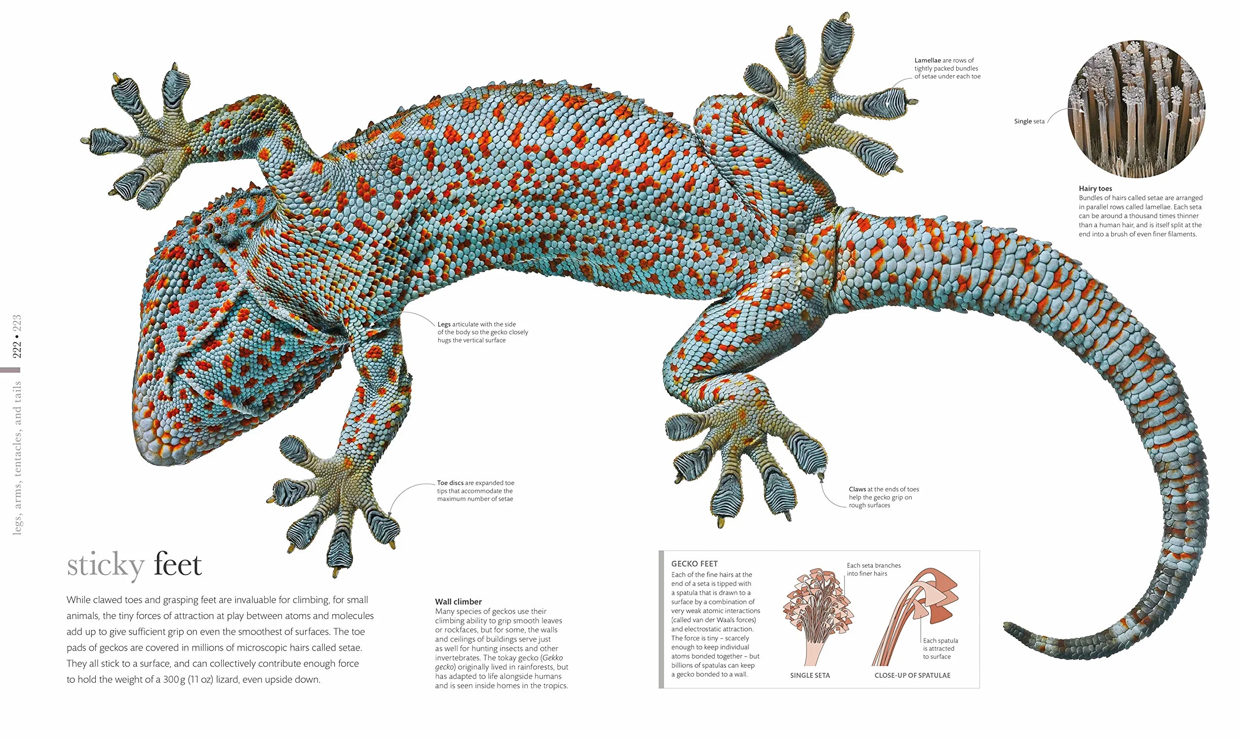 The Science of Animals: Inside their Secret World