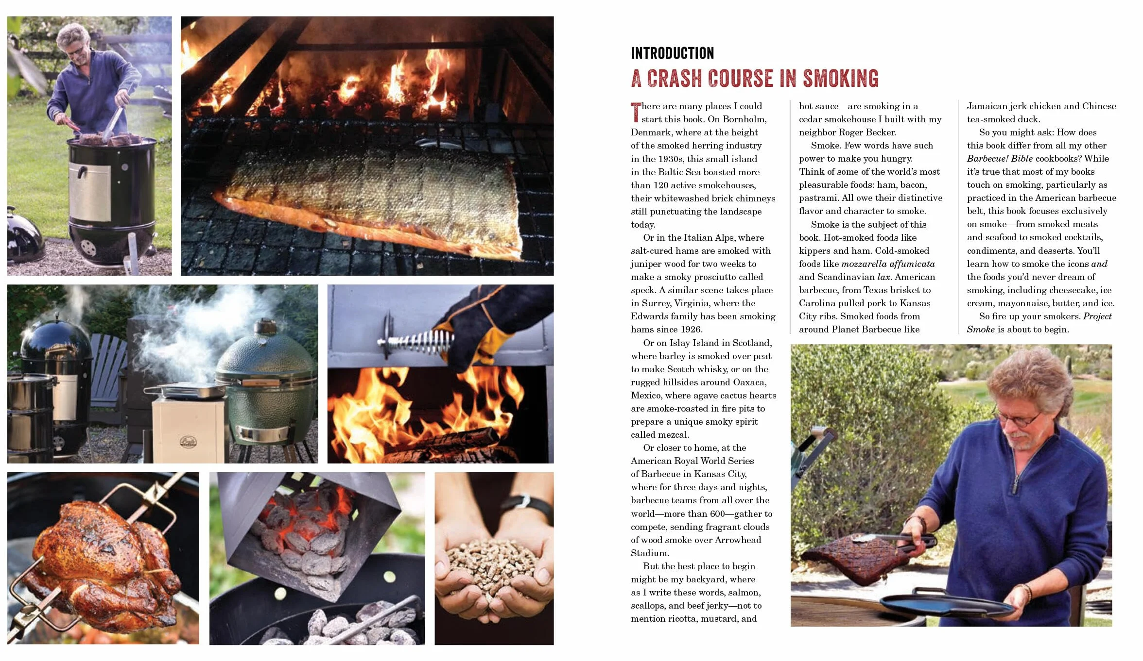 Project Smoke: Seven Steps to Smoked Food Nirvana, Plus 100 Irresistible Recipes from Classic (Slam-Dunk Brisket) to Adventurous (Smoked Bacon-Bourbon Apple Crisp)