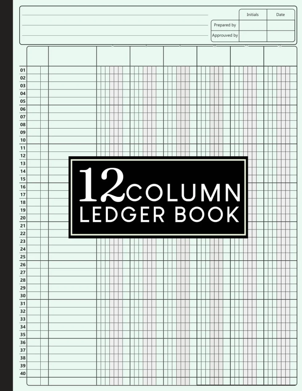 12 Column Ledger Book: Large Simple Twelve Column for Bookkeeping, Accounting, Small Business, Personal Use and more
