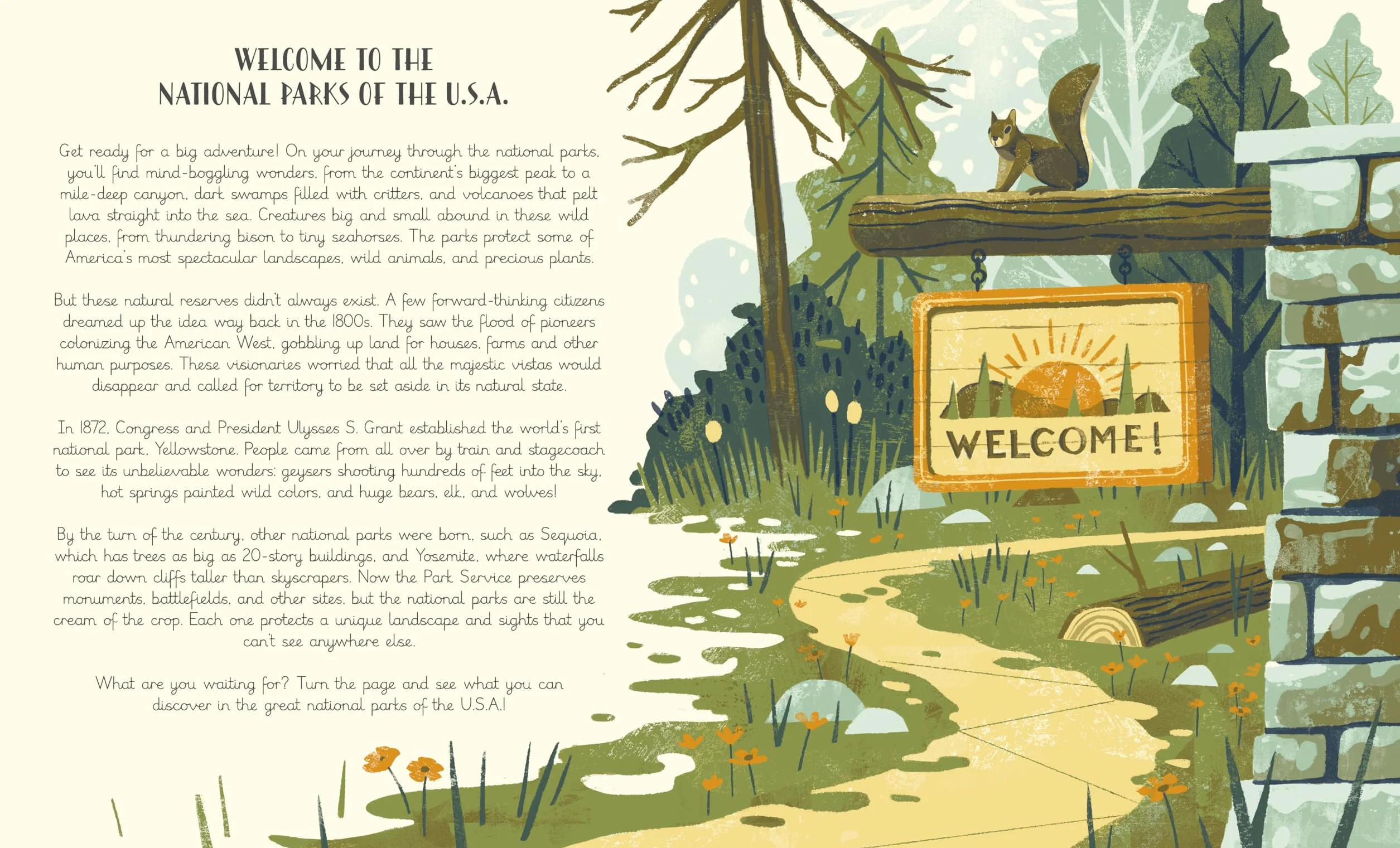 National Parks of the USA