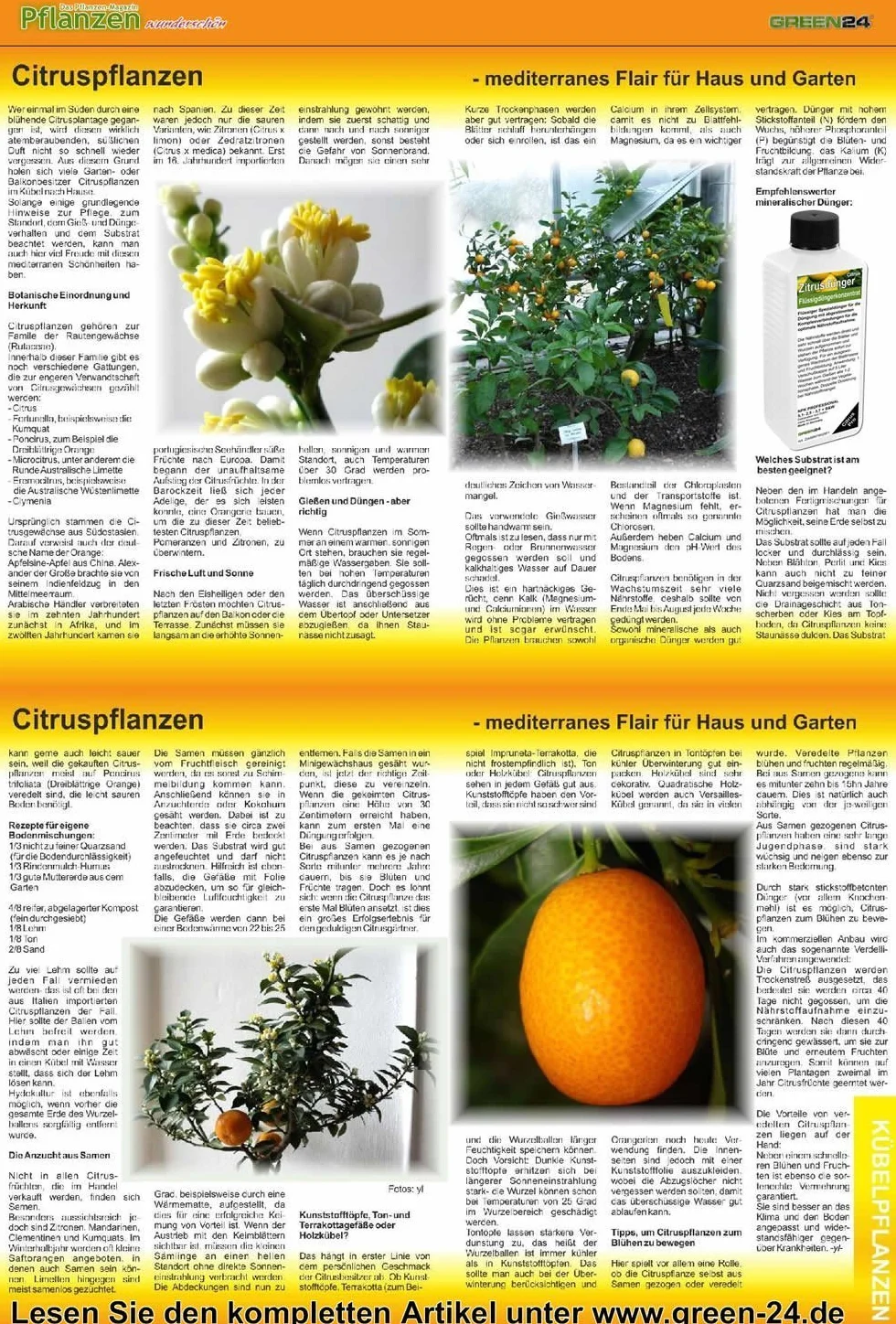 Cytrus, nawóz do roślin cytrusowych, premium nawóz płynny premium z serii Profi