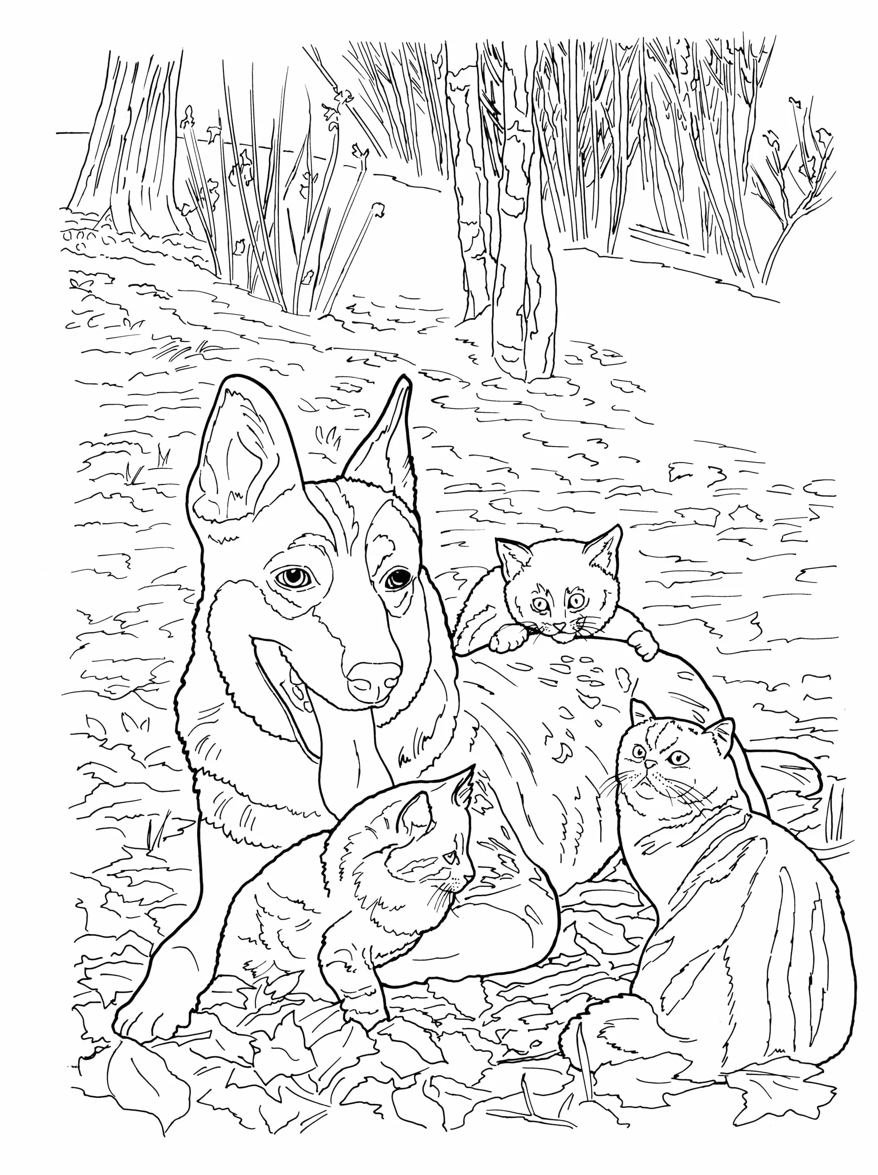 Creative Haven Lovable Cats and Dogs Coloring Book