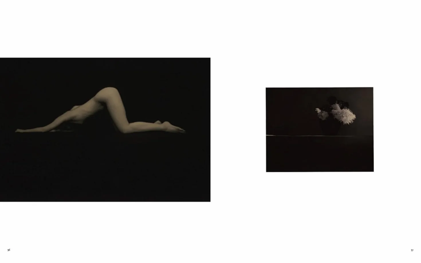 Masao Yamamoto Small Things in Silence (New Edition) /anglais/japonais: Third Edition