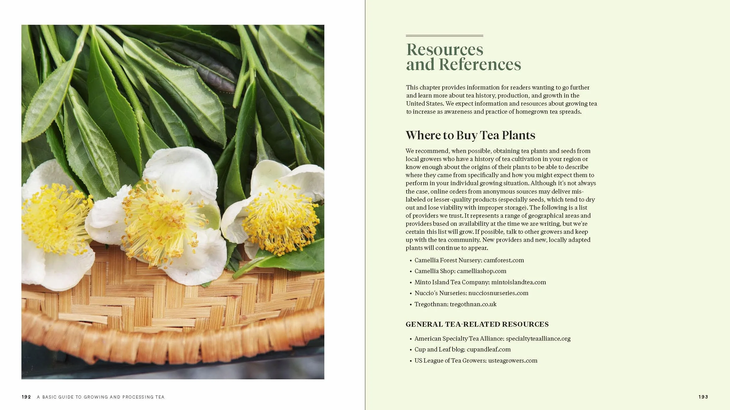 Grow Your Own Tea: The Complete Guide to Cultivating, Harvesting, and Preparing