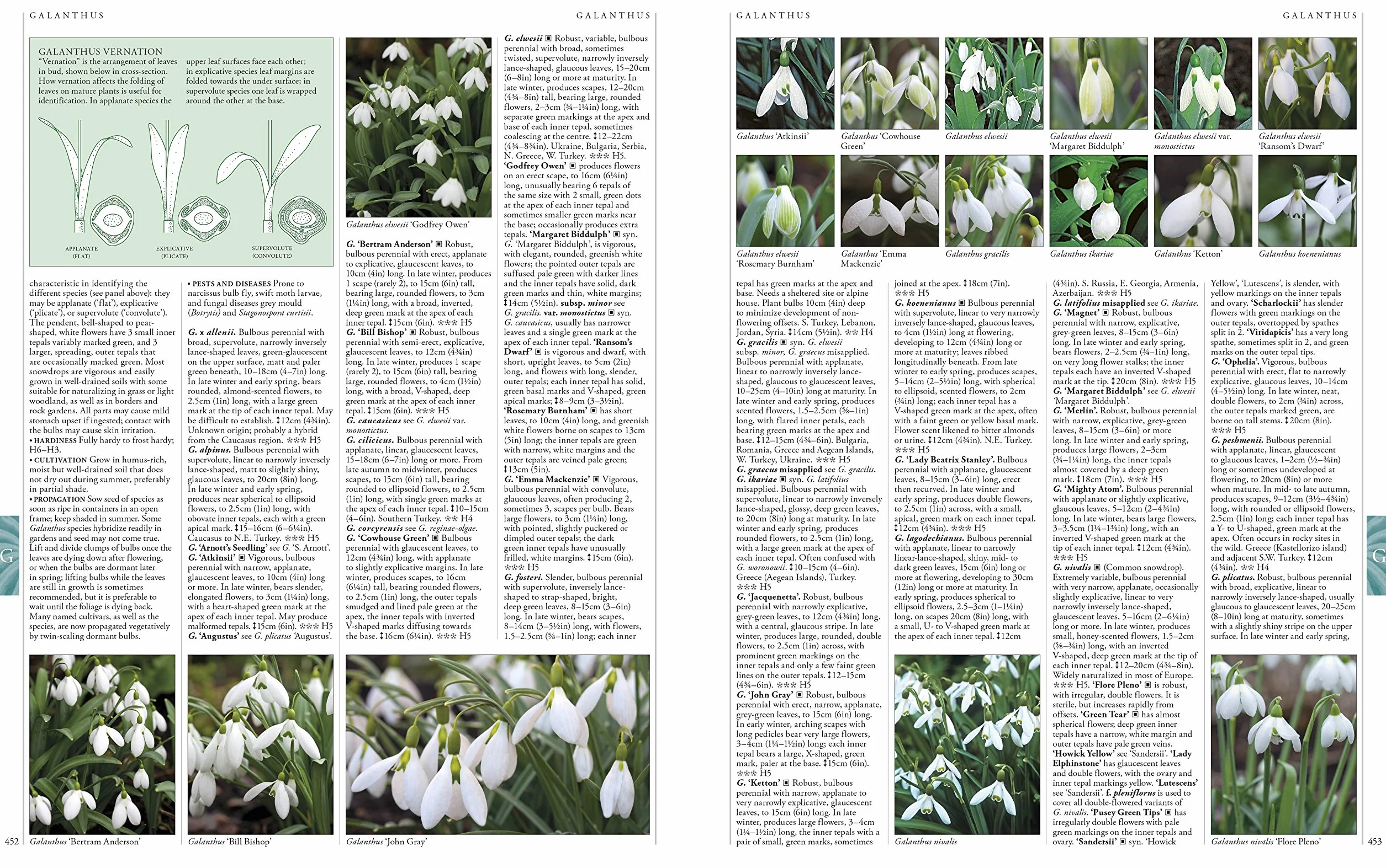 RHS A-Z Encyclopedia of Garden Plants 4th edition: (New Edition)