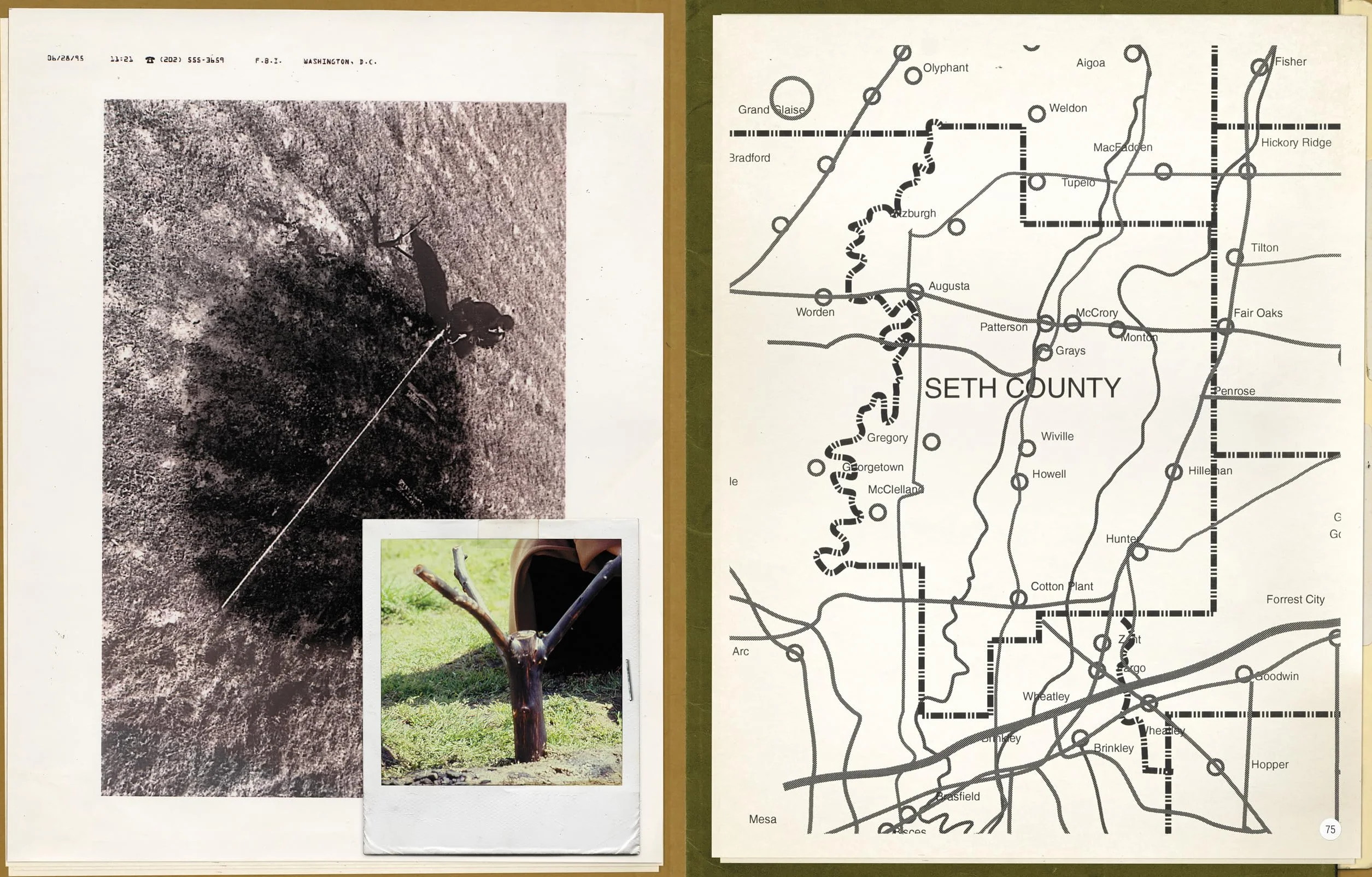 The X-Files: the official archives: Cryptids, Biological Anomalies, and Parapsychic Phenomena