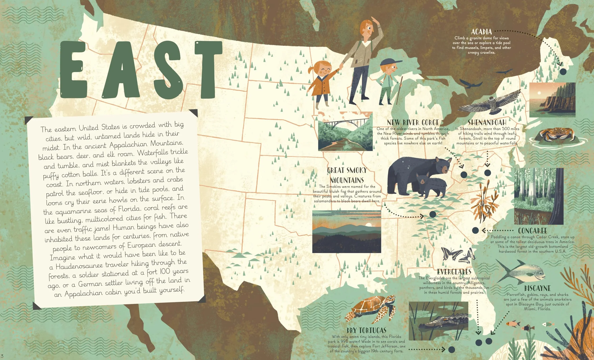 National Parks of the USA