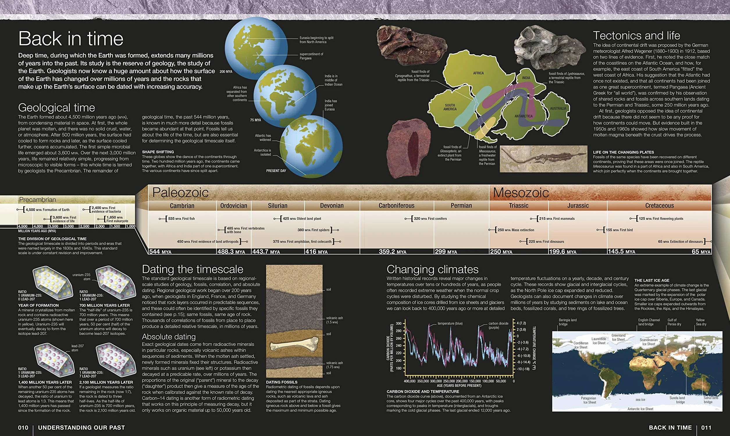 Evolution: The Human Story