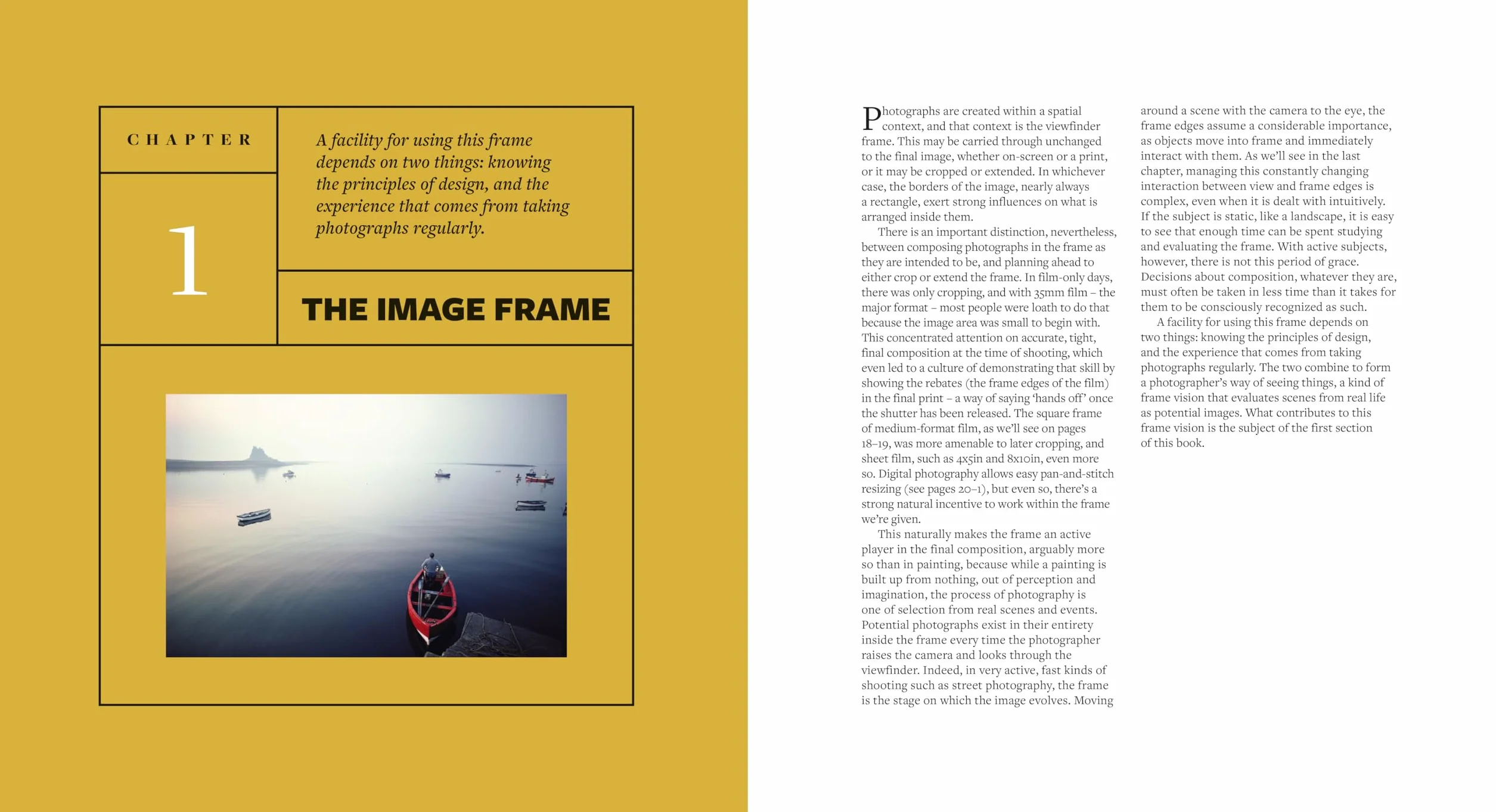 Michael Freeman The Photographer's Eye Remastered /anglais: Composition and Design for Better Digital Photos