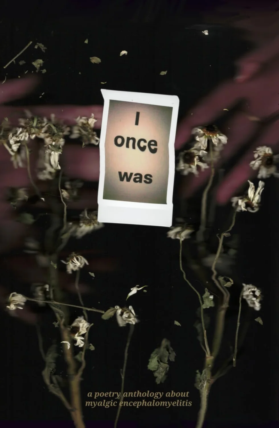 I Once Was: A Poetry Anthology About Myalgic Encephalomyelitis