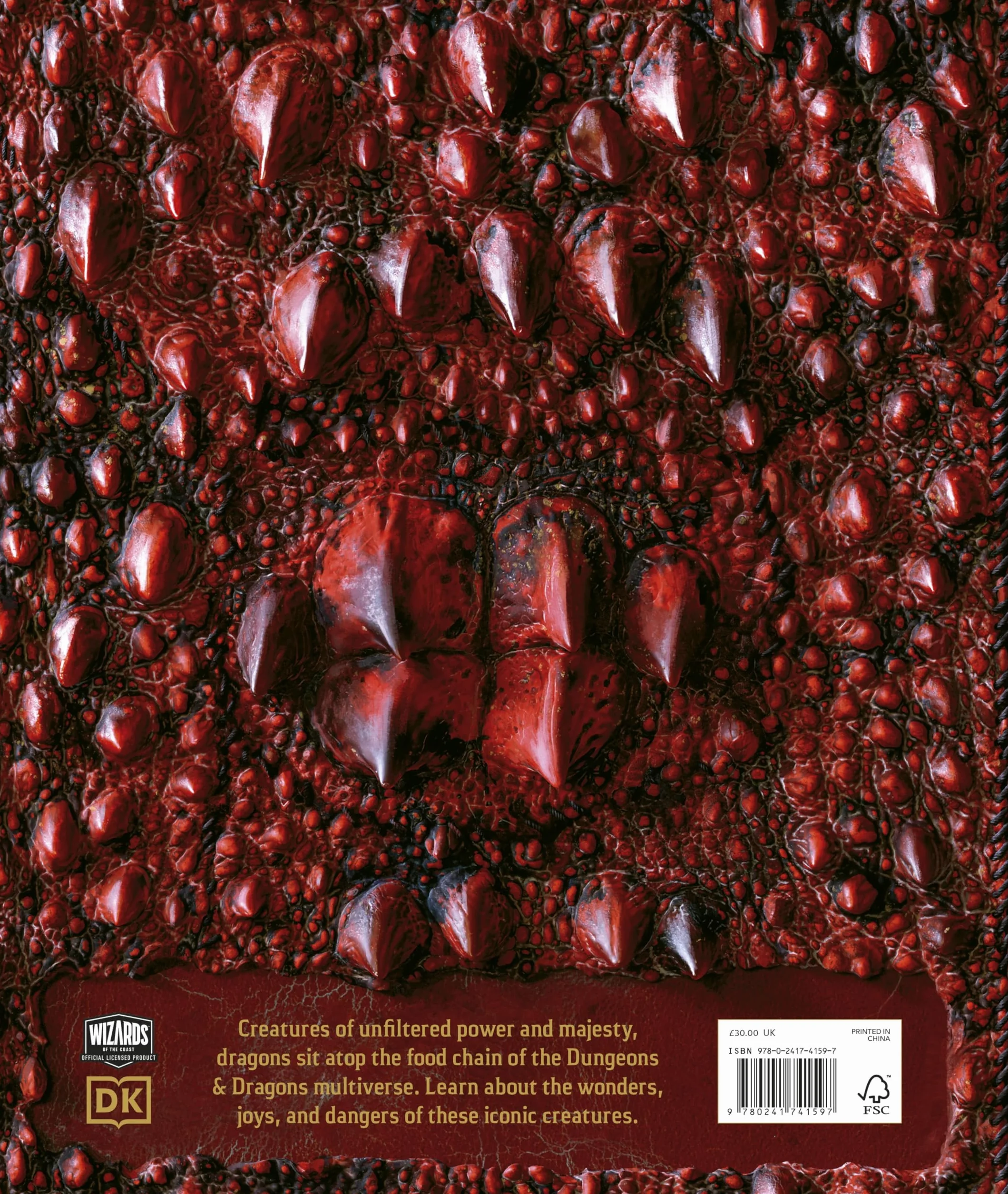 Dungeons & Dragons The Book of Dragons