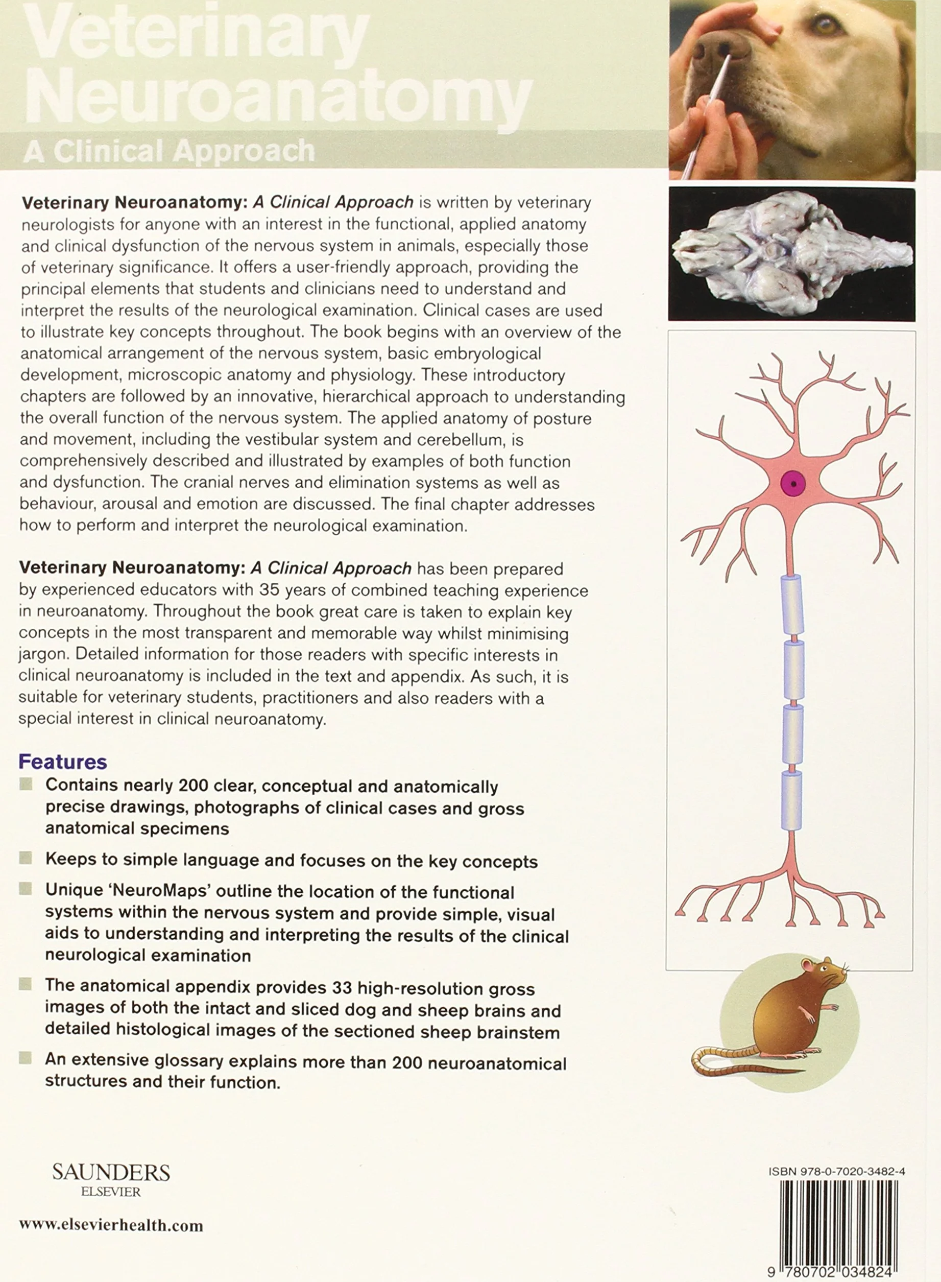 Veterinary Neuroanatomy: A Clinical Approach