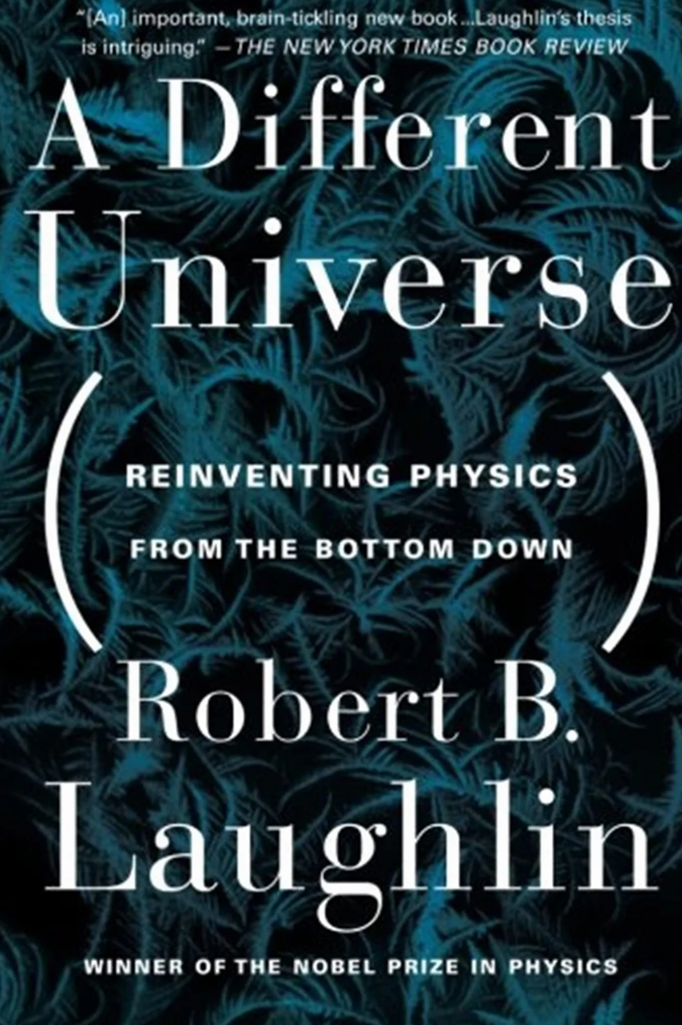 A Different Universe: Reinventing Physics From the Bottom Down