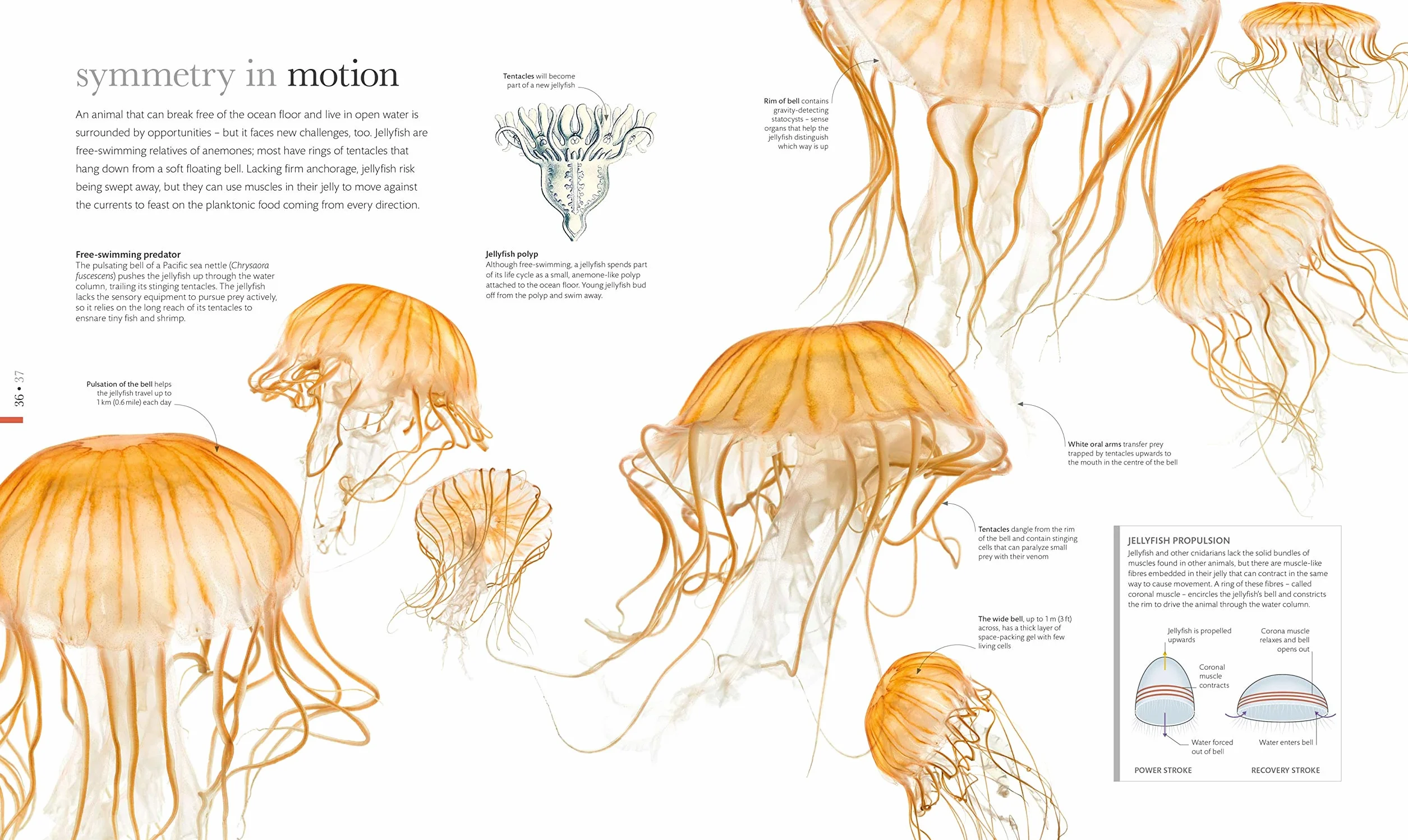 The Science of Animals: Inside their Secret World
